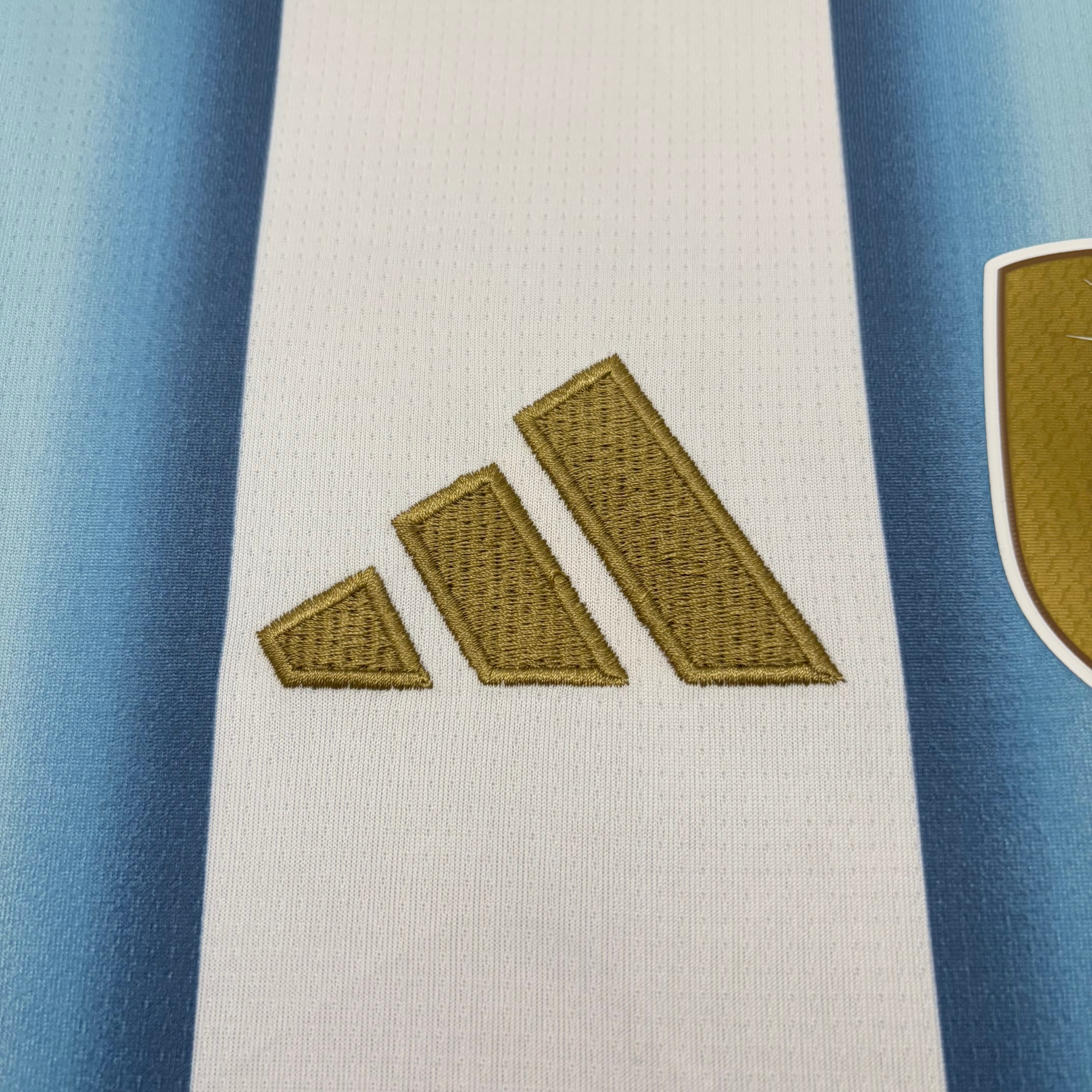 Camisa Argentina I 2026 Torcedor