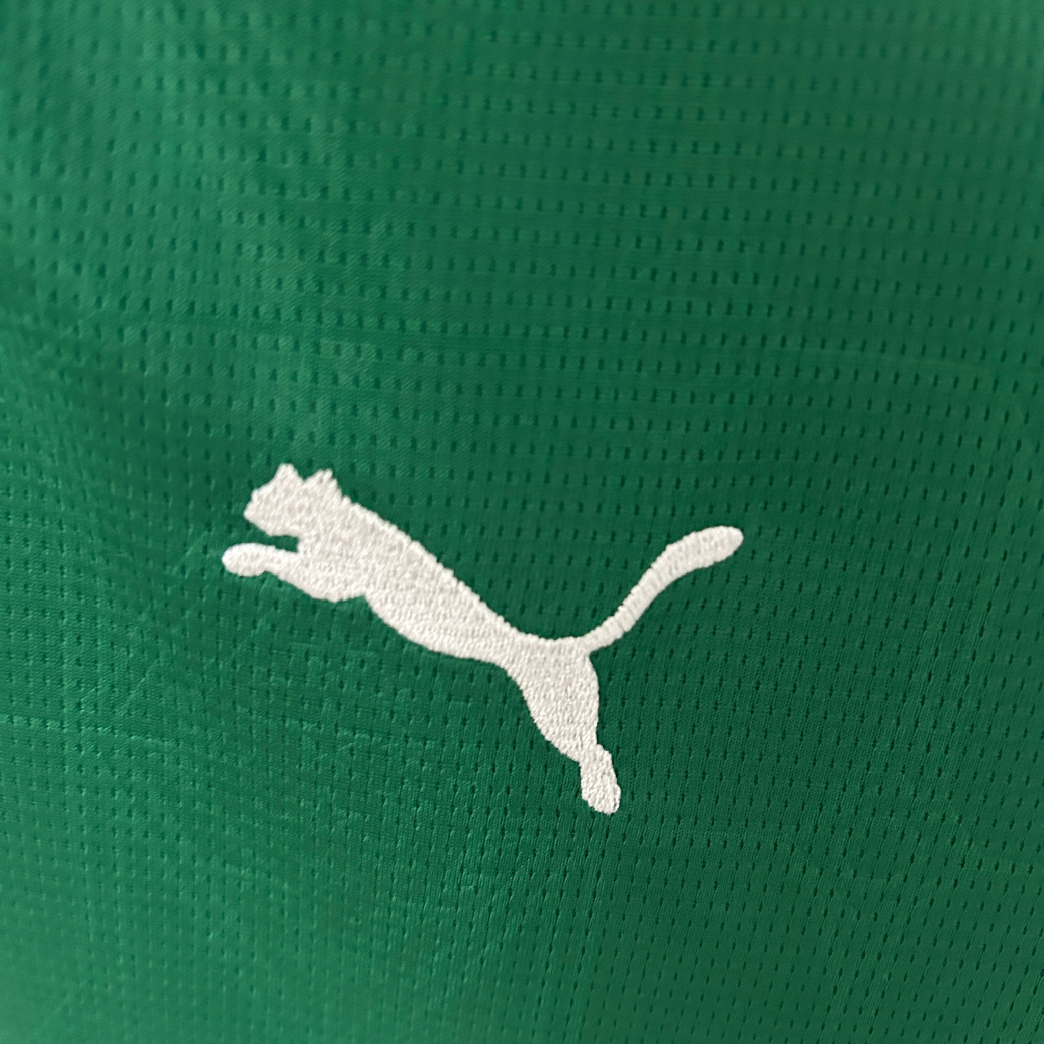 Camisa Palmeiras I 25/26 Feminina Torcedor