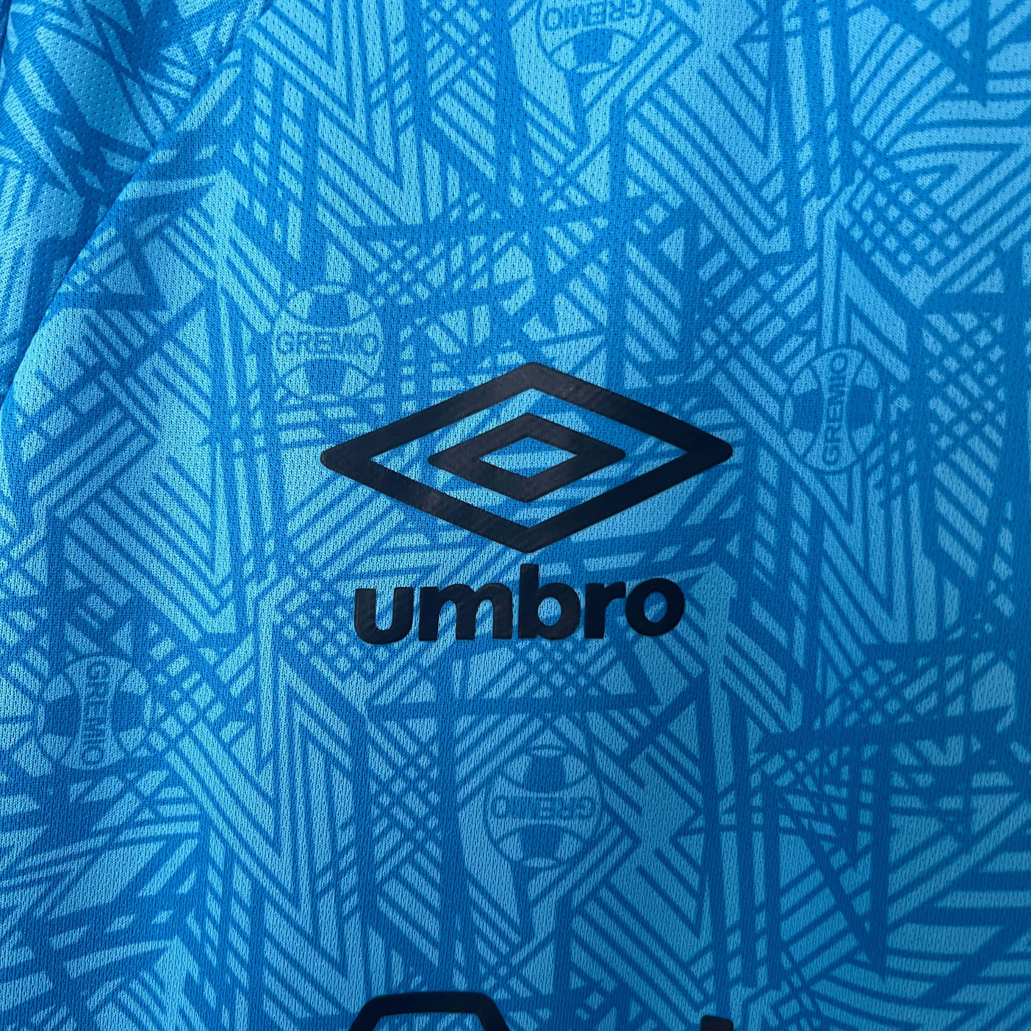 Camisa Grêmio Treino 24/25 Torcedor