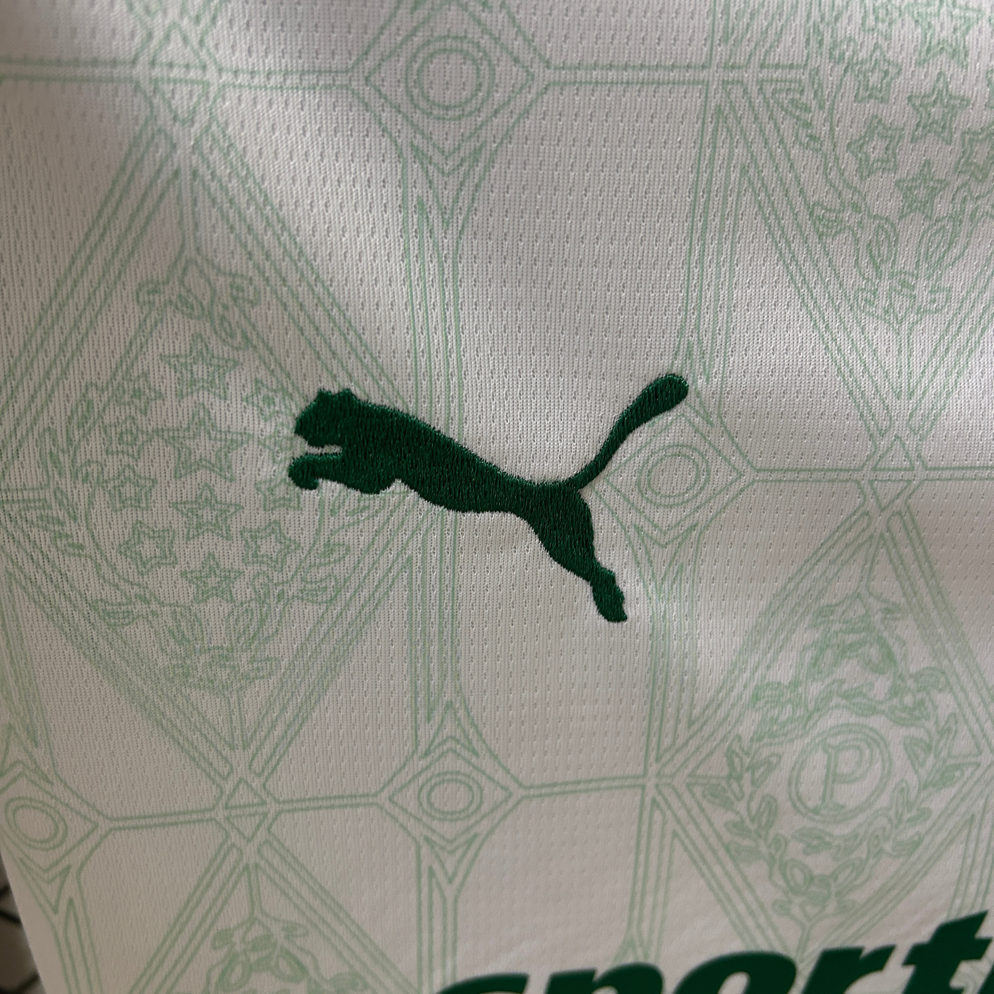 Camisa Palmeiras II 25/26 Feminina Torcedor