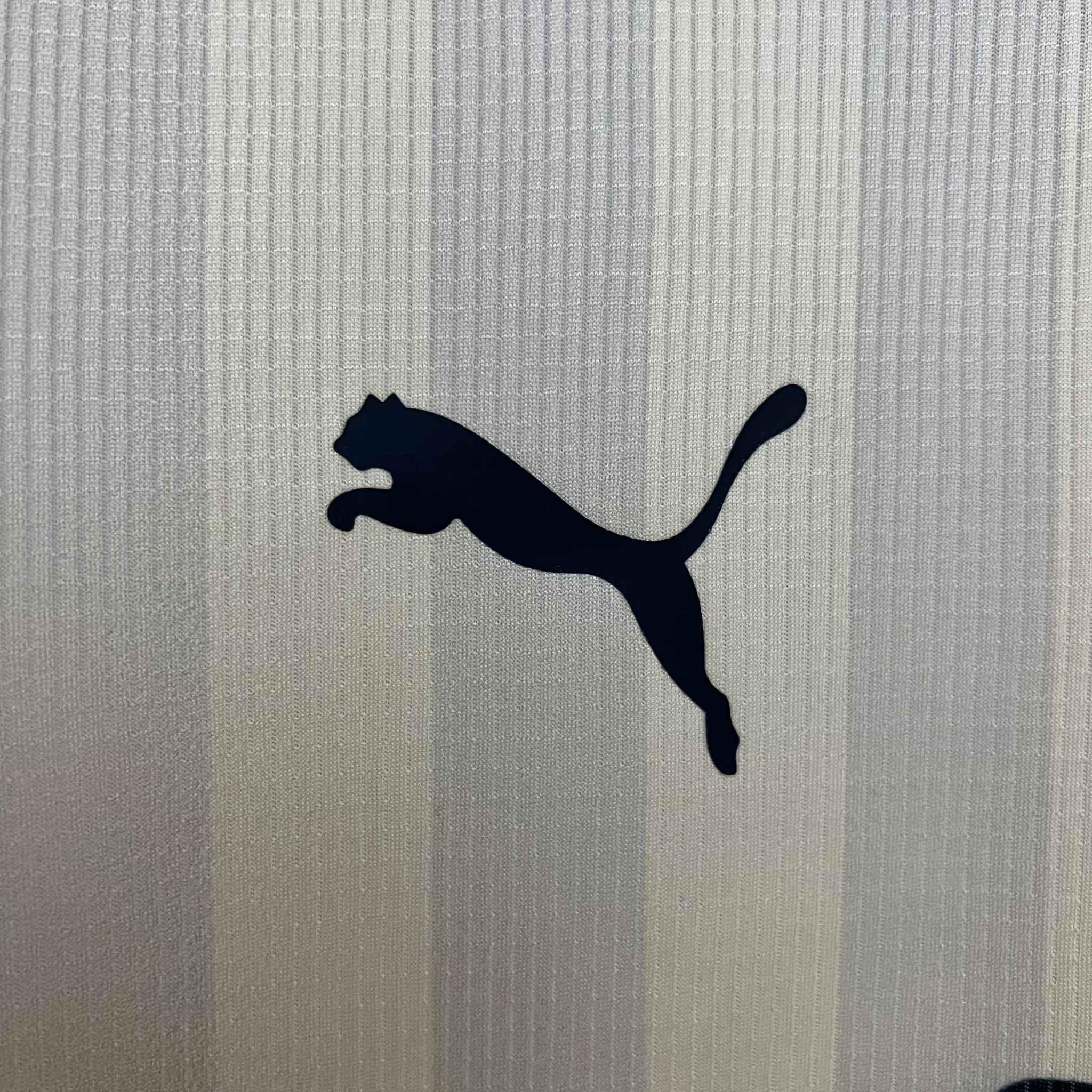 Camisa CA Peñarol III 25/26 Torcedor