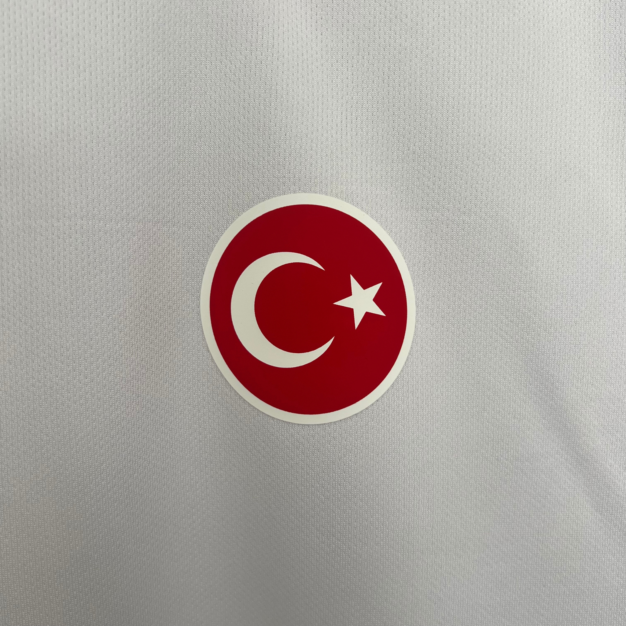 Camisa Galatasaray II 25/26 Torcedor