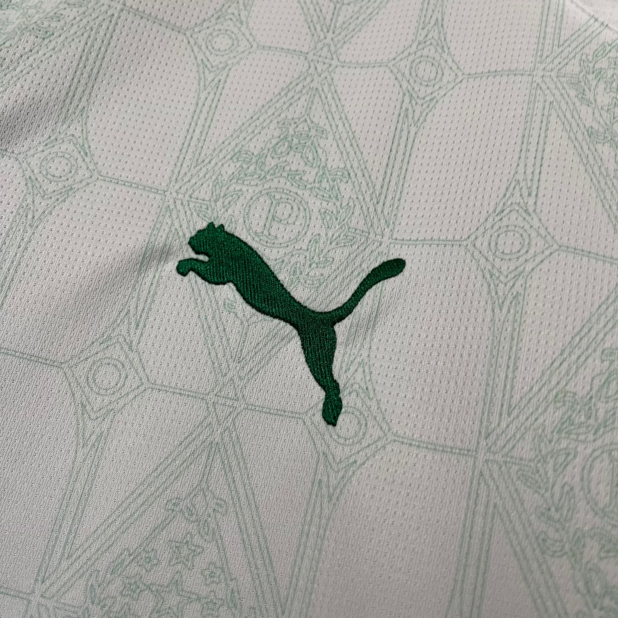 Camisa Palmeiras II 25/26 Torcedor