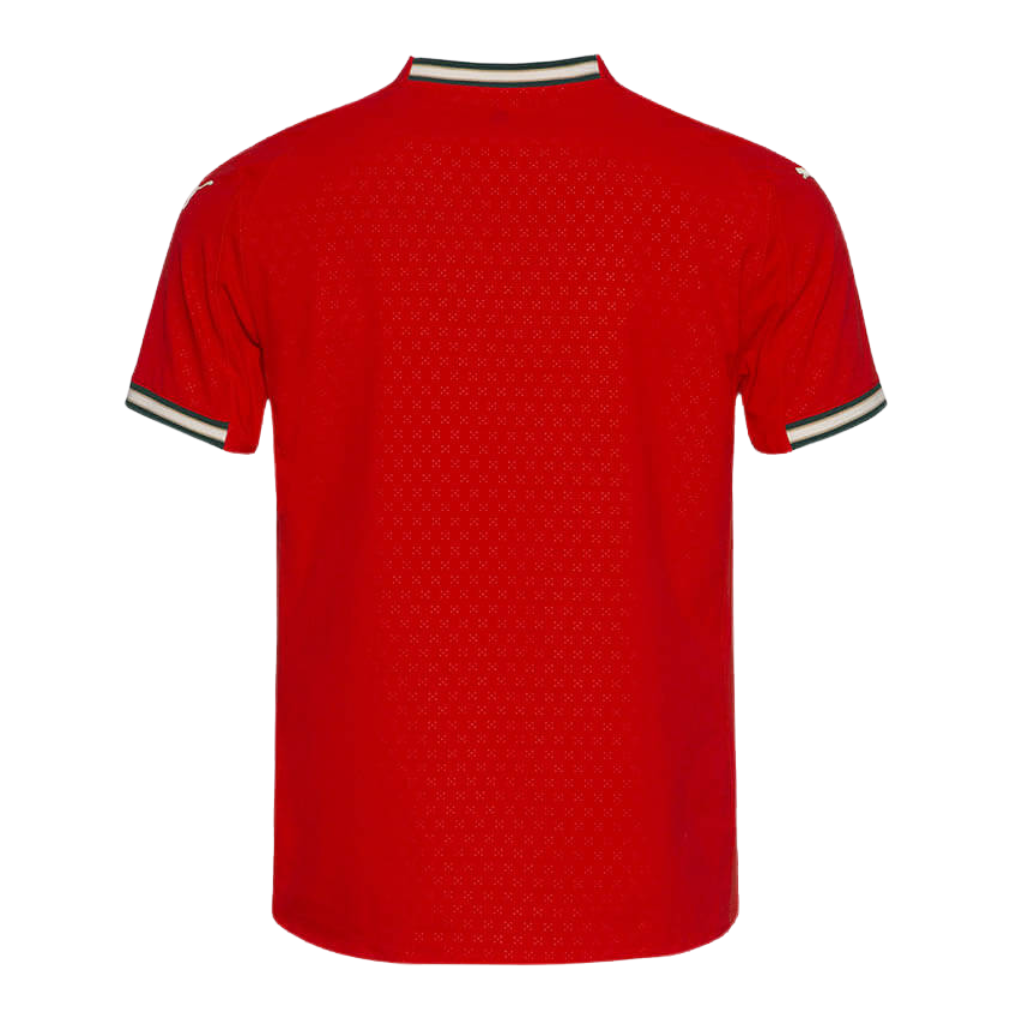 Camisa Portugal I 2025 Torcedor