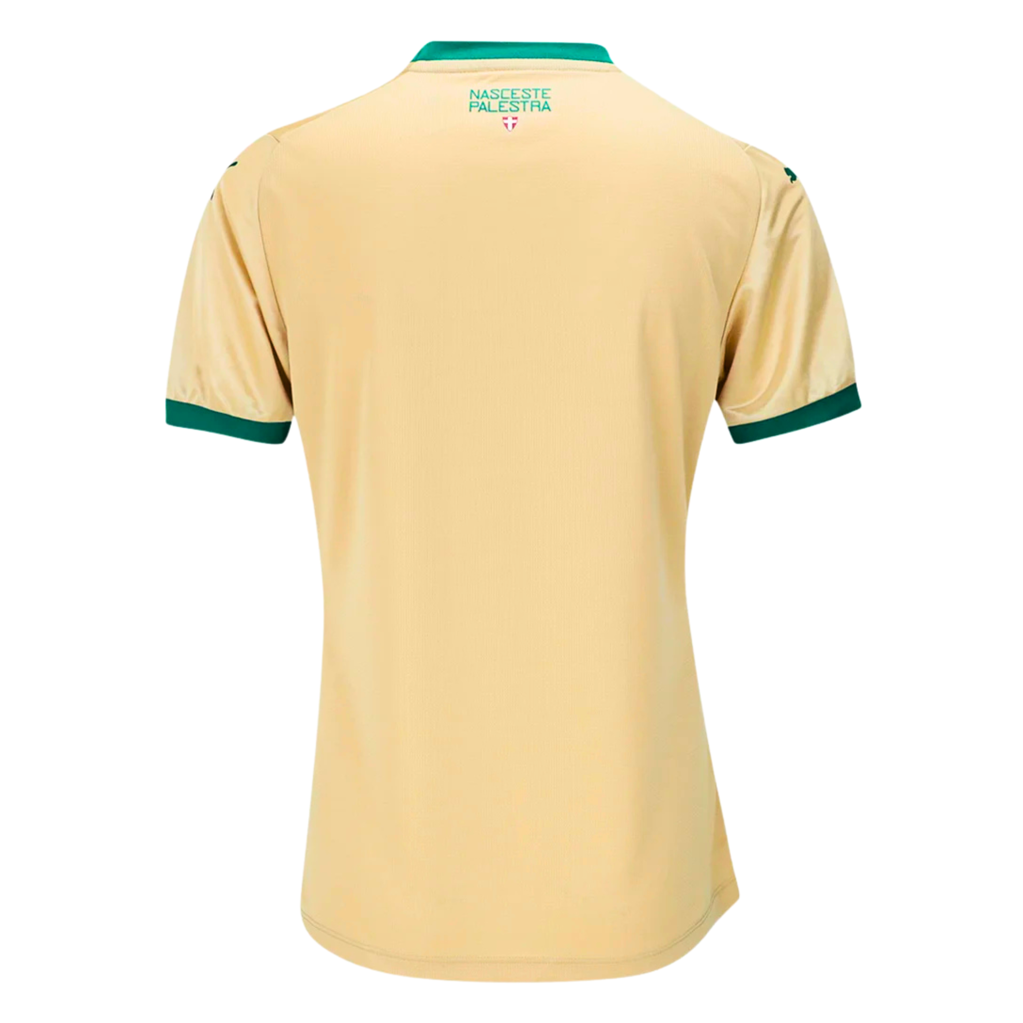 Camisa Palmeiras III 24/25 Feminina Torcedor