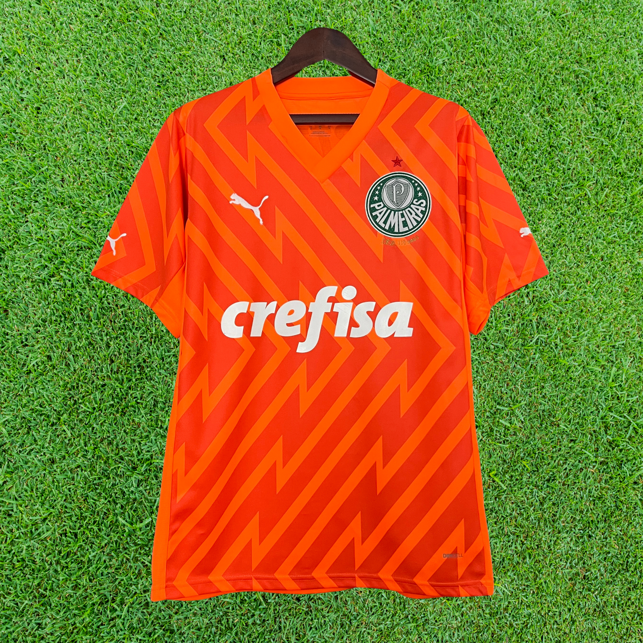 Camisa Palmeiras Goleiro 24/25 Torcedor