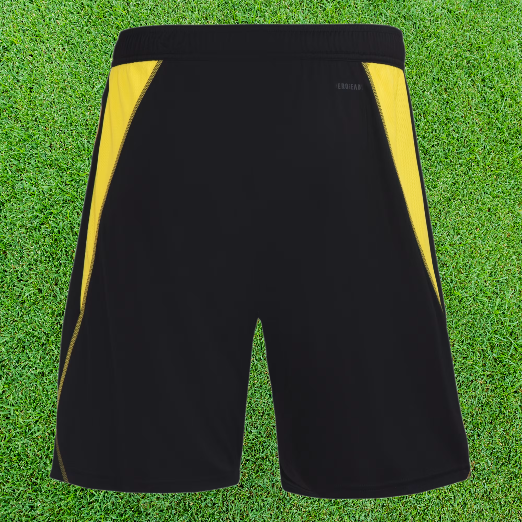 Short Flamengo Treino 24/25