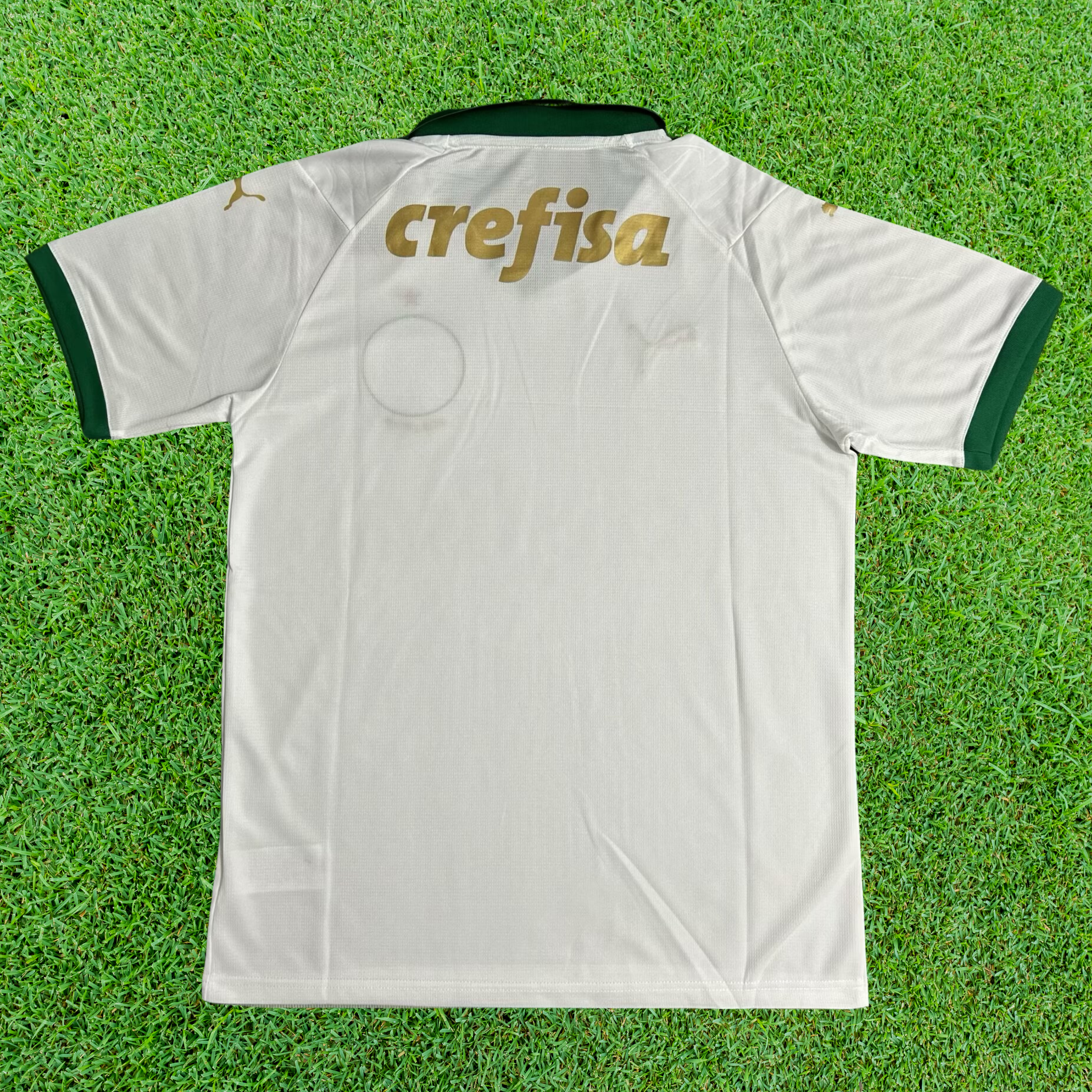 Camisa Palmeiras II 24/25 Torcedor