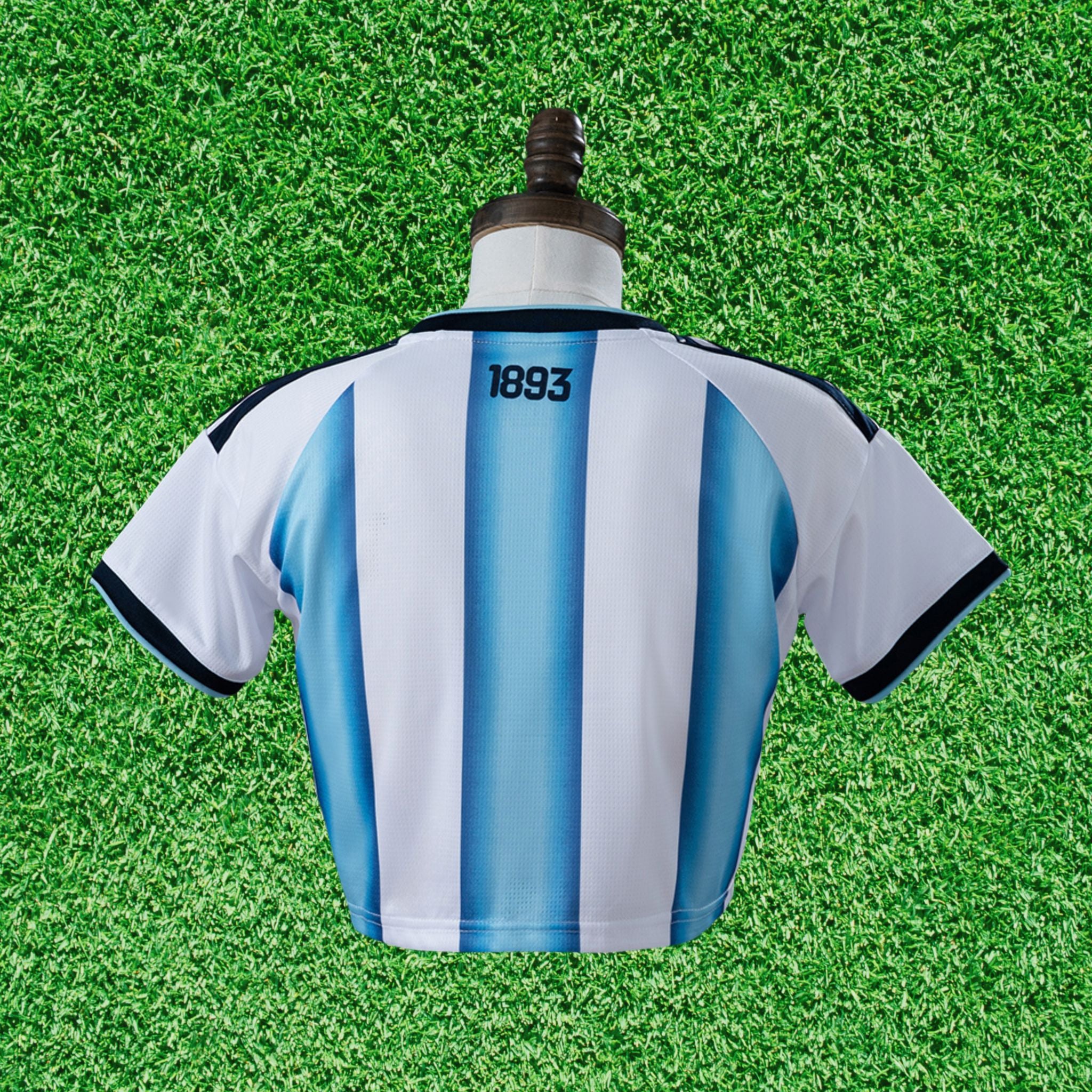 Cropped Argentina I 2026 Torcedor