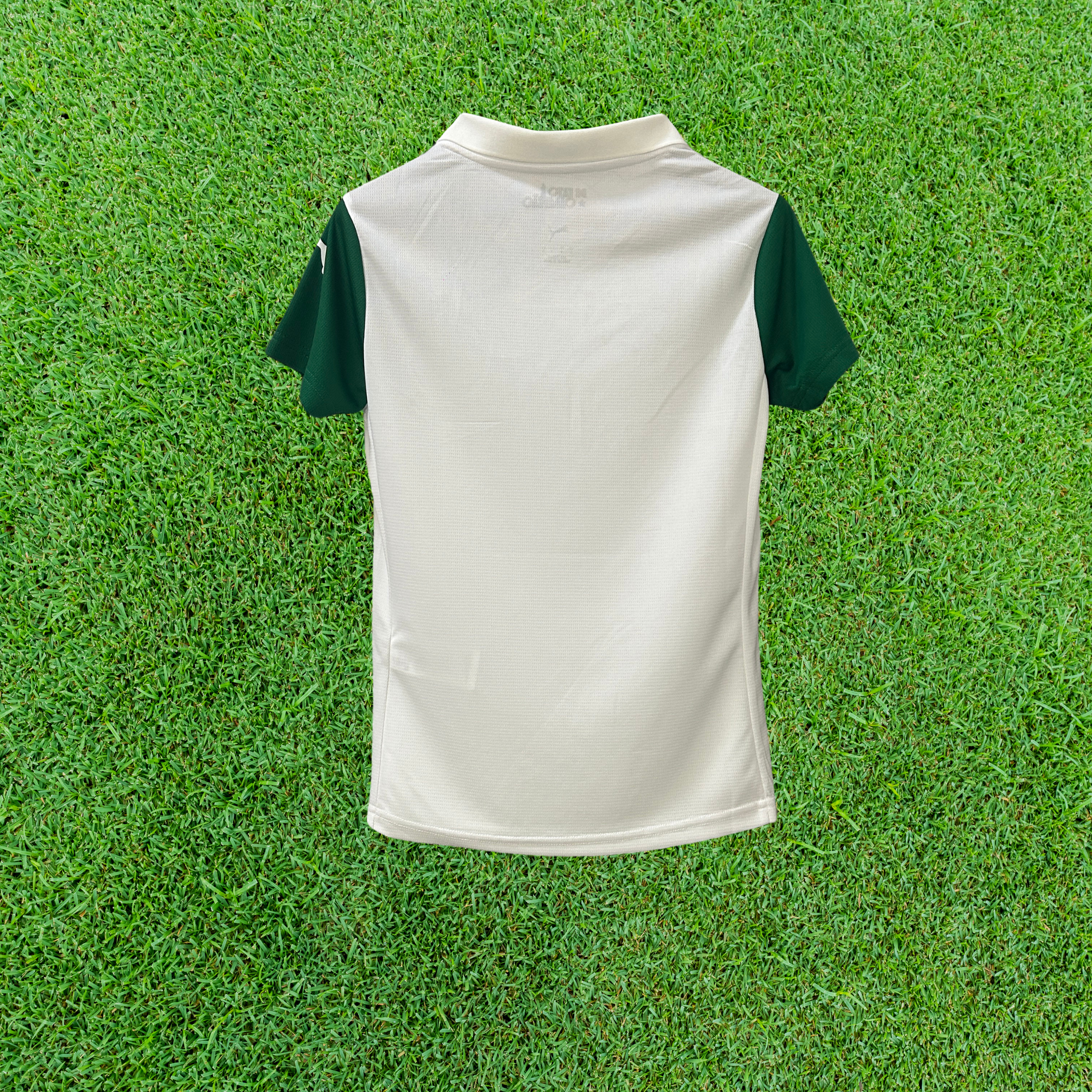 Camisa Palmeiras II 25/26 Feminina Torcedor