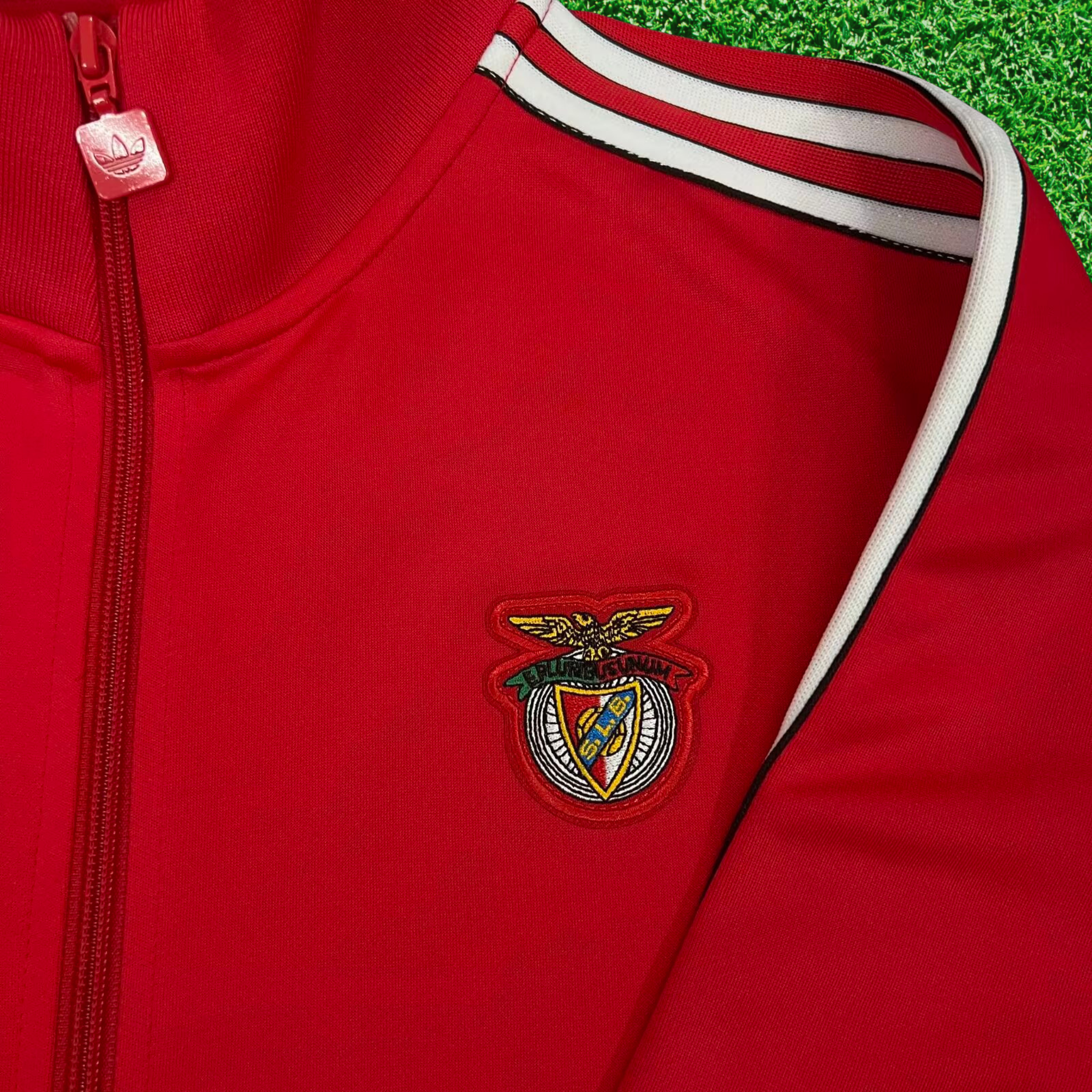 Conjunto SL Benfica Vintage 2025
