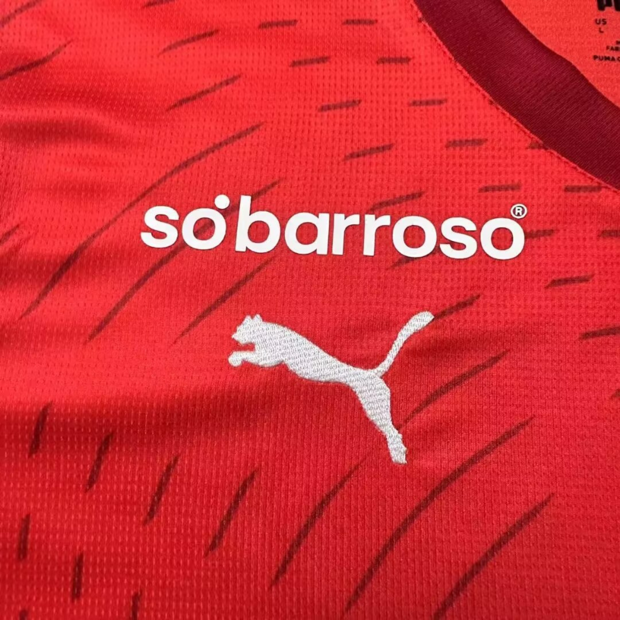Camisa Braga I 24/25 Torcedor