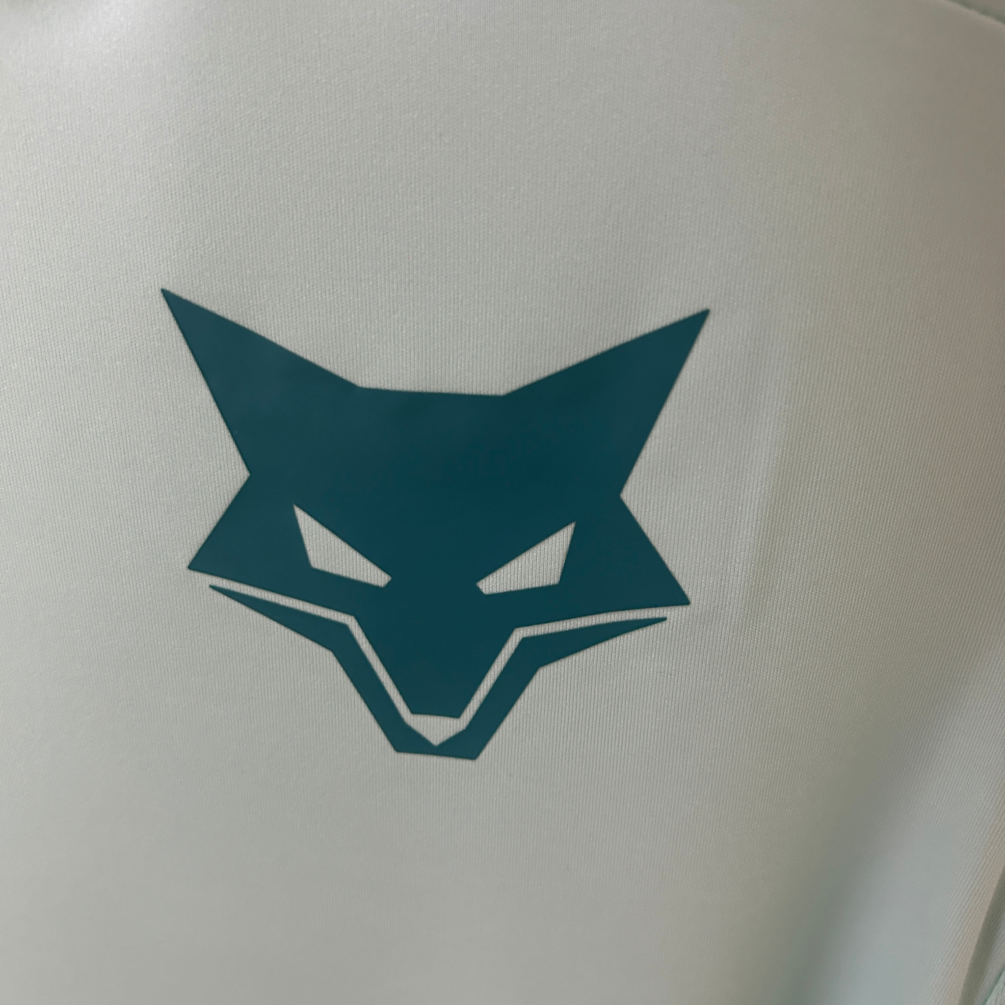 Regata Cruzeiro Treino I 25/26 Torcedor