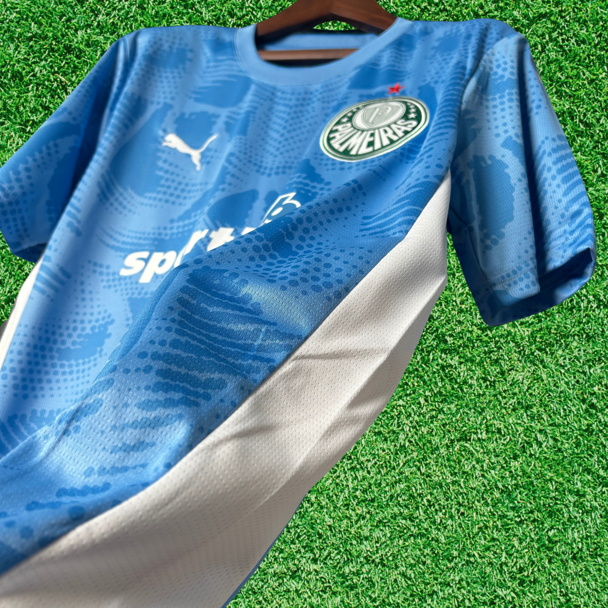 Camisa Palmeiras Goleiro I 25/26 Torcedor