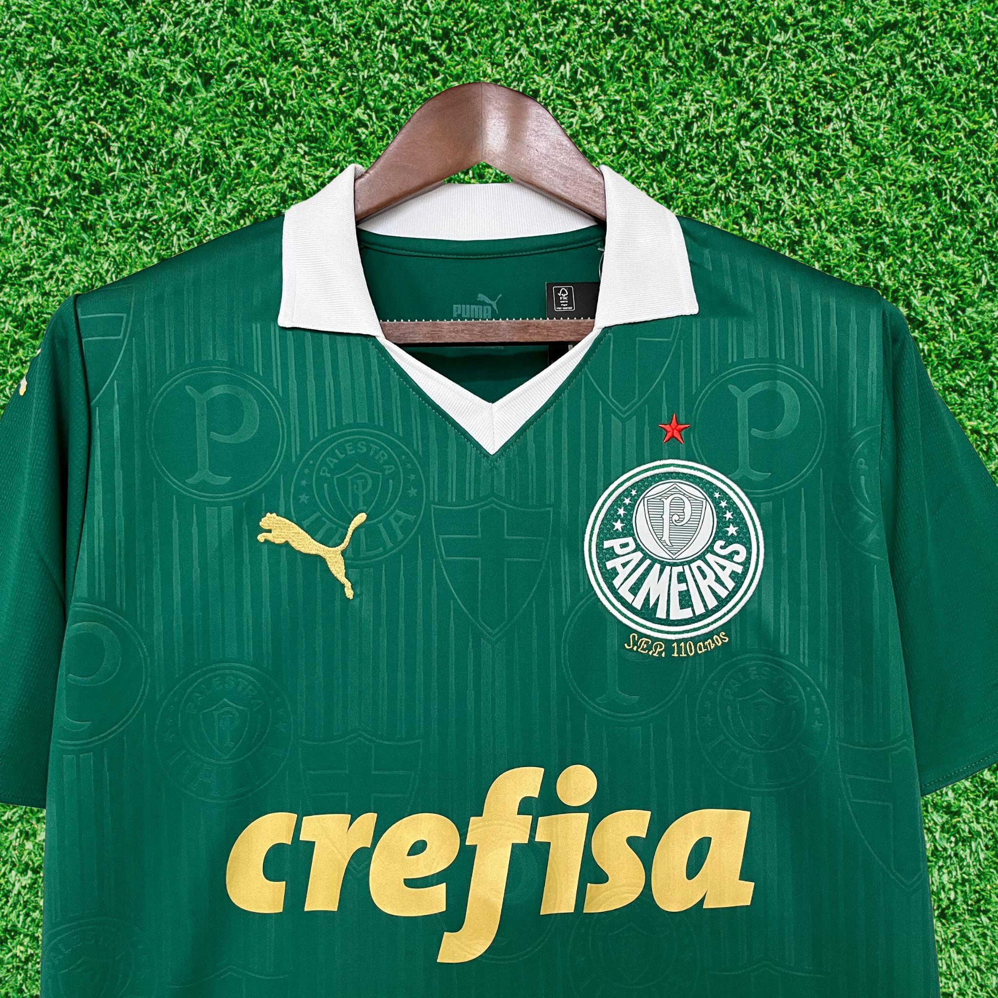Camisa Palmeiras I 24/25 Torcedor