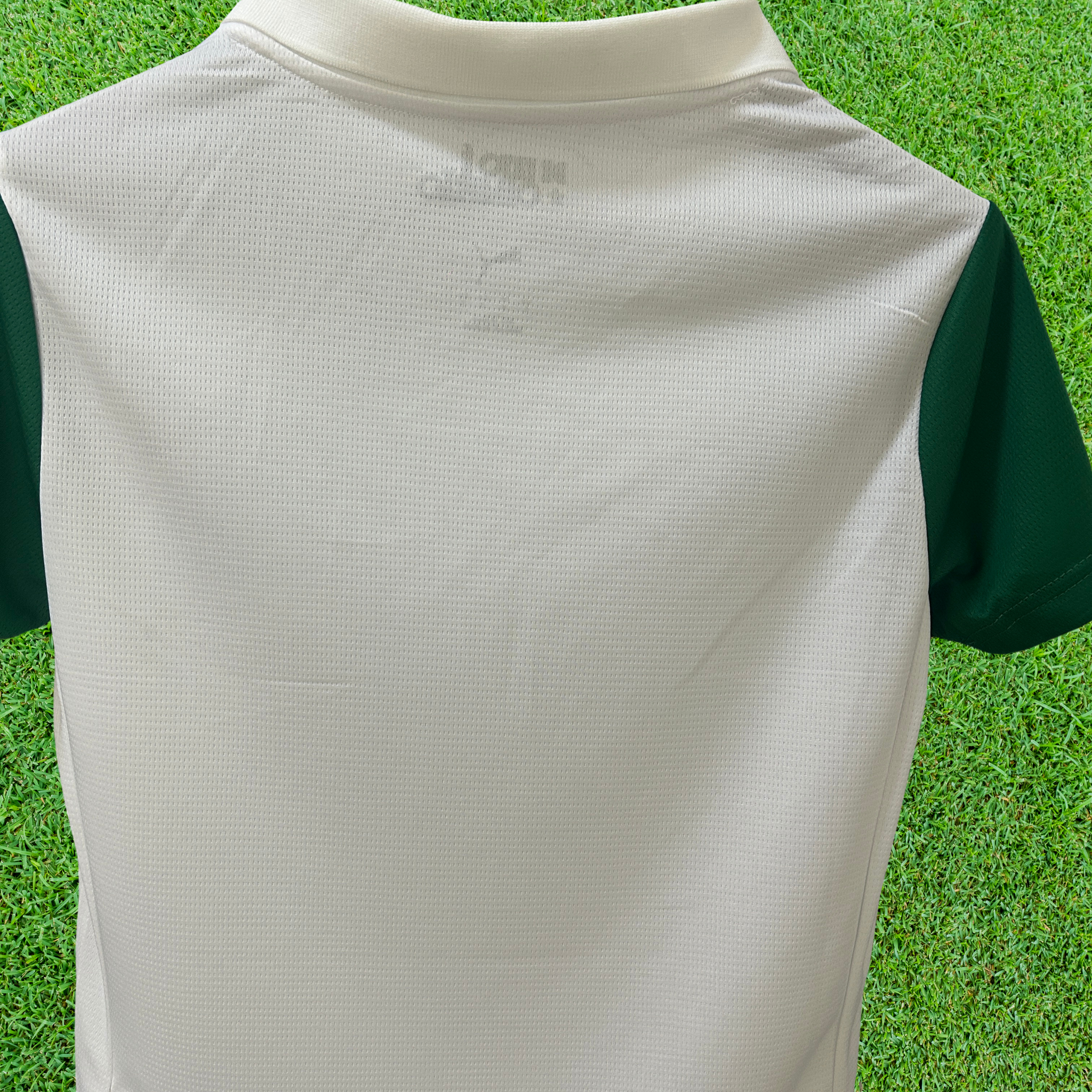Camisa Palmeiras II 25/26 Feminina Torcedor