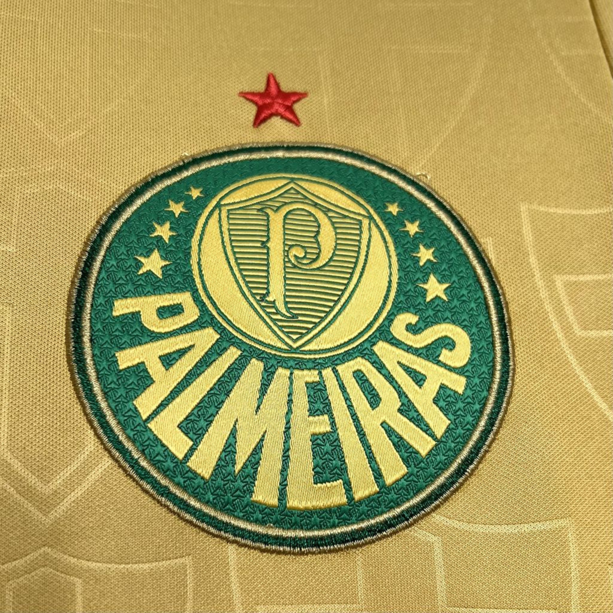 Camisa Palmeiras III 24/25 Torcedor