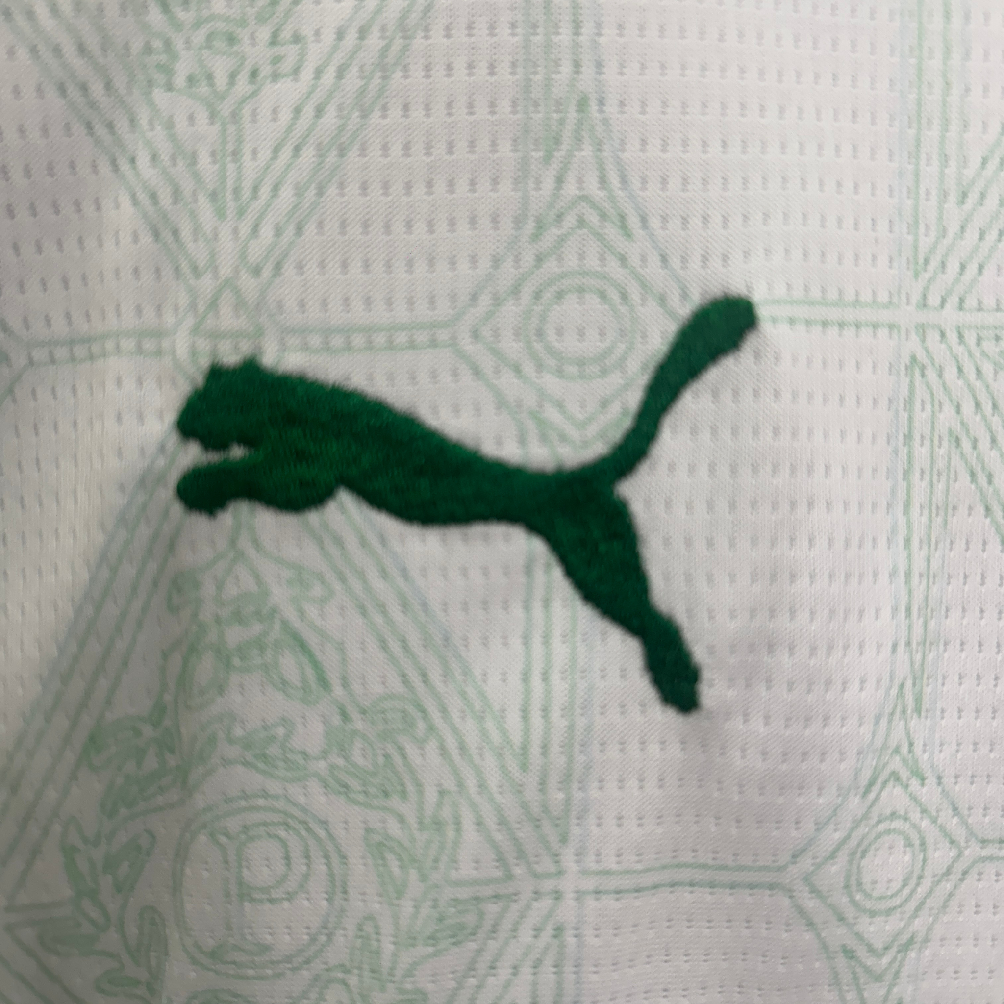 Kit Palmeiras II 25/26 Infantil