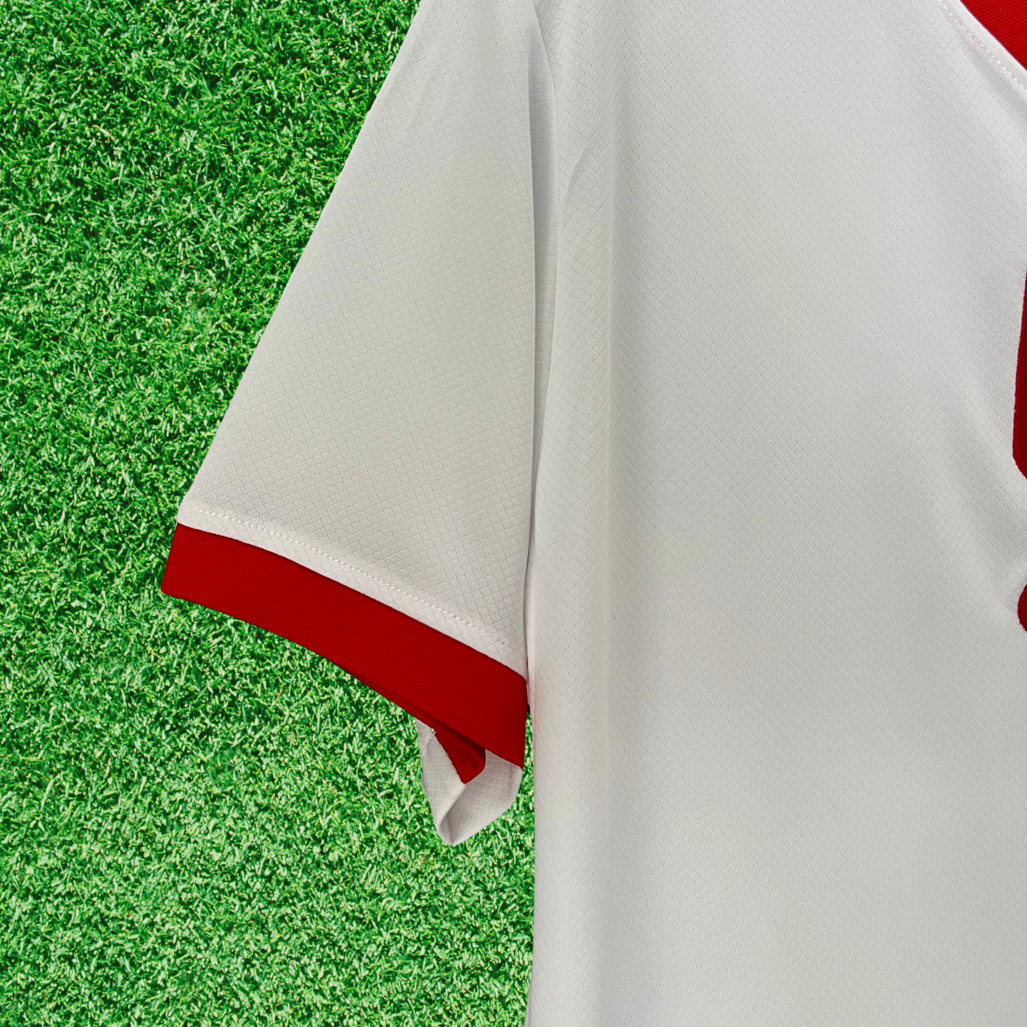 Camisa Polonia I 2024 Torcedor