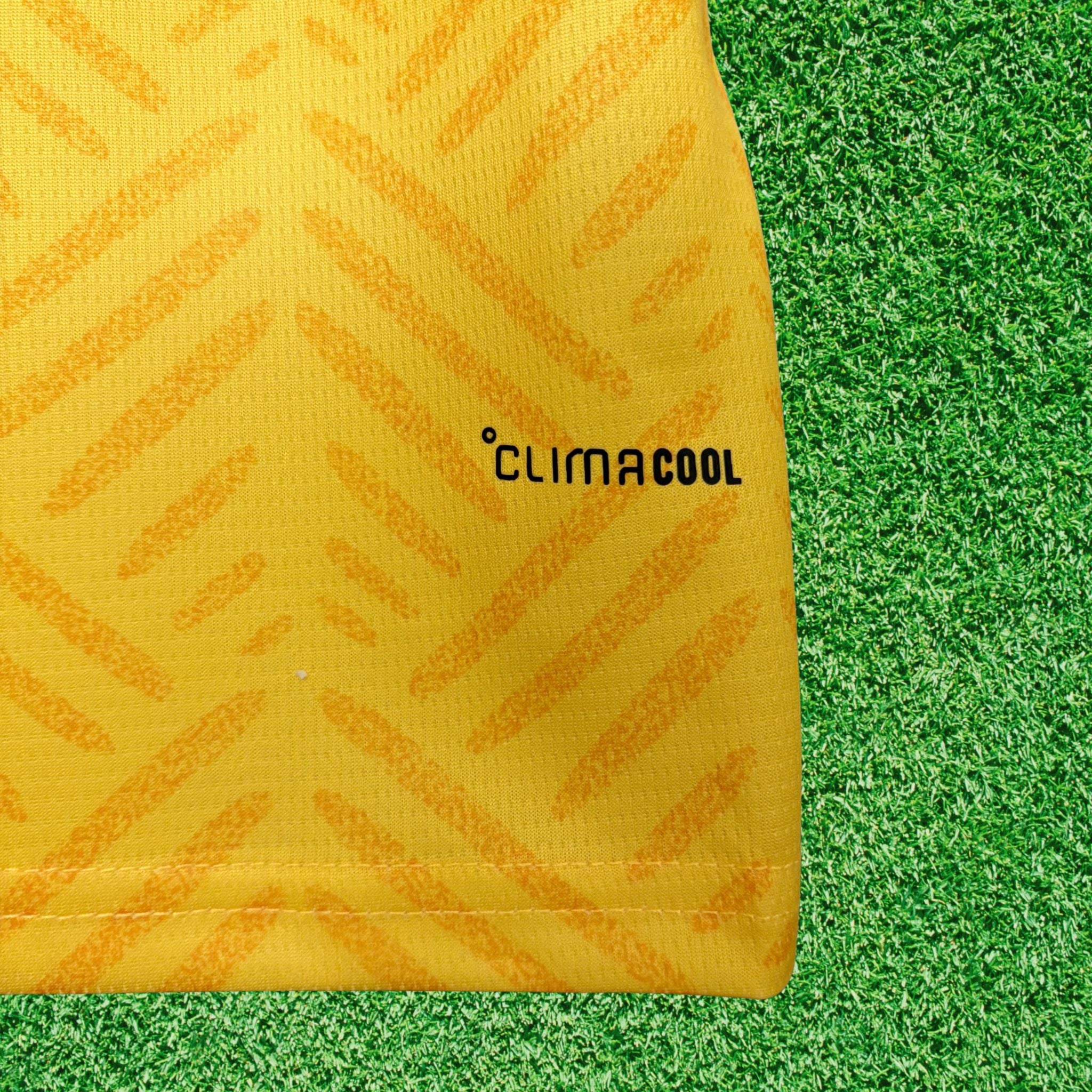 Camisa Africa do Sul I 2026 Torcedor