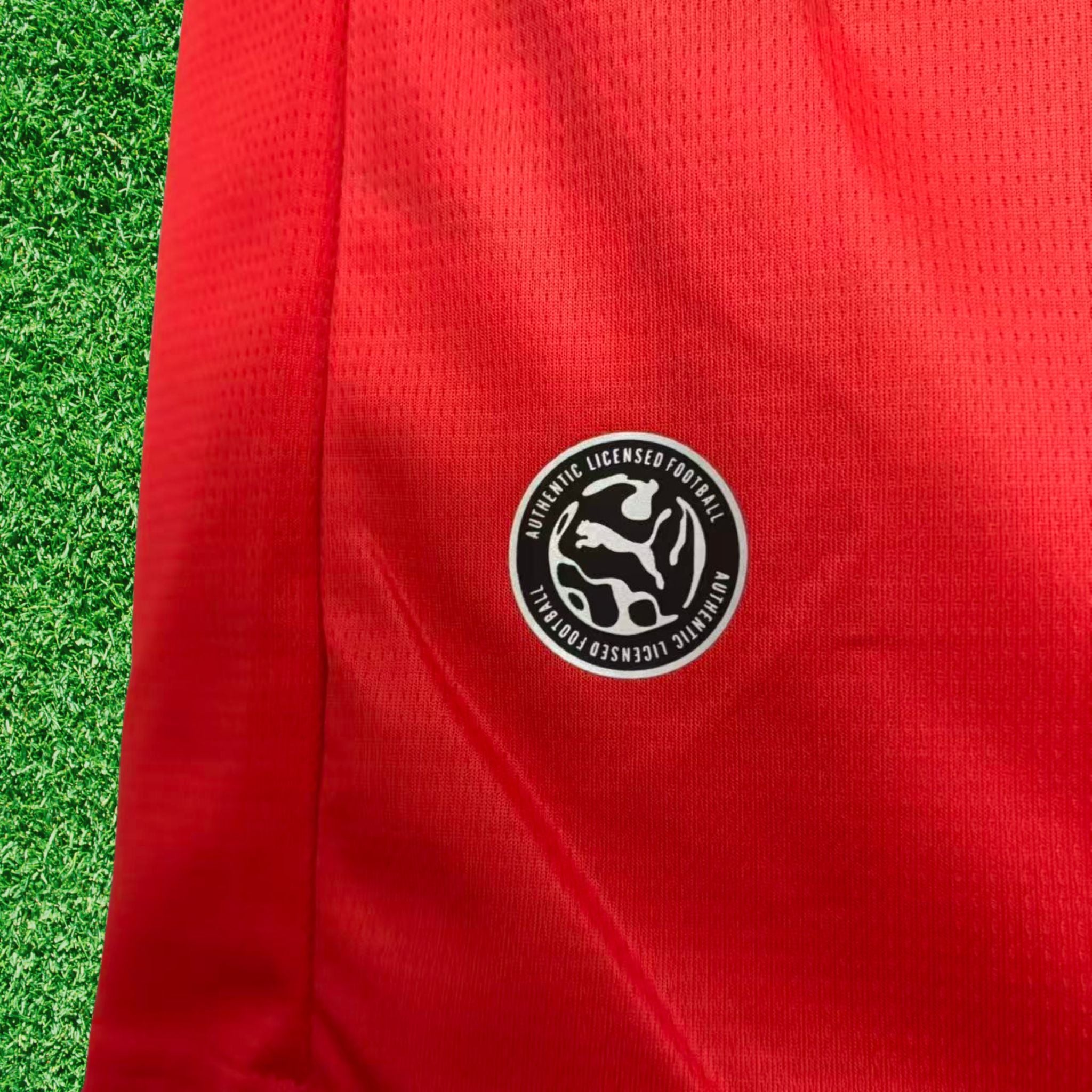 Camisa Egito I 2026 Torcedor