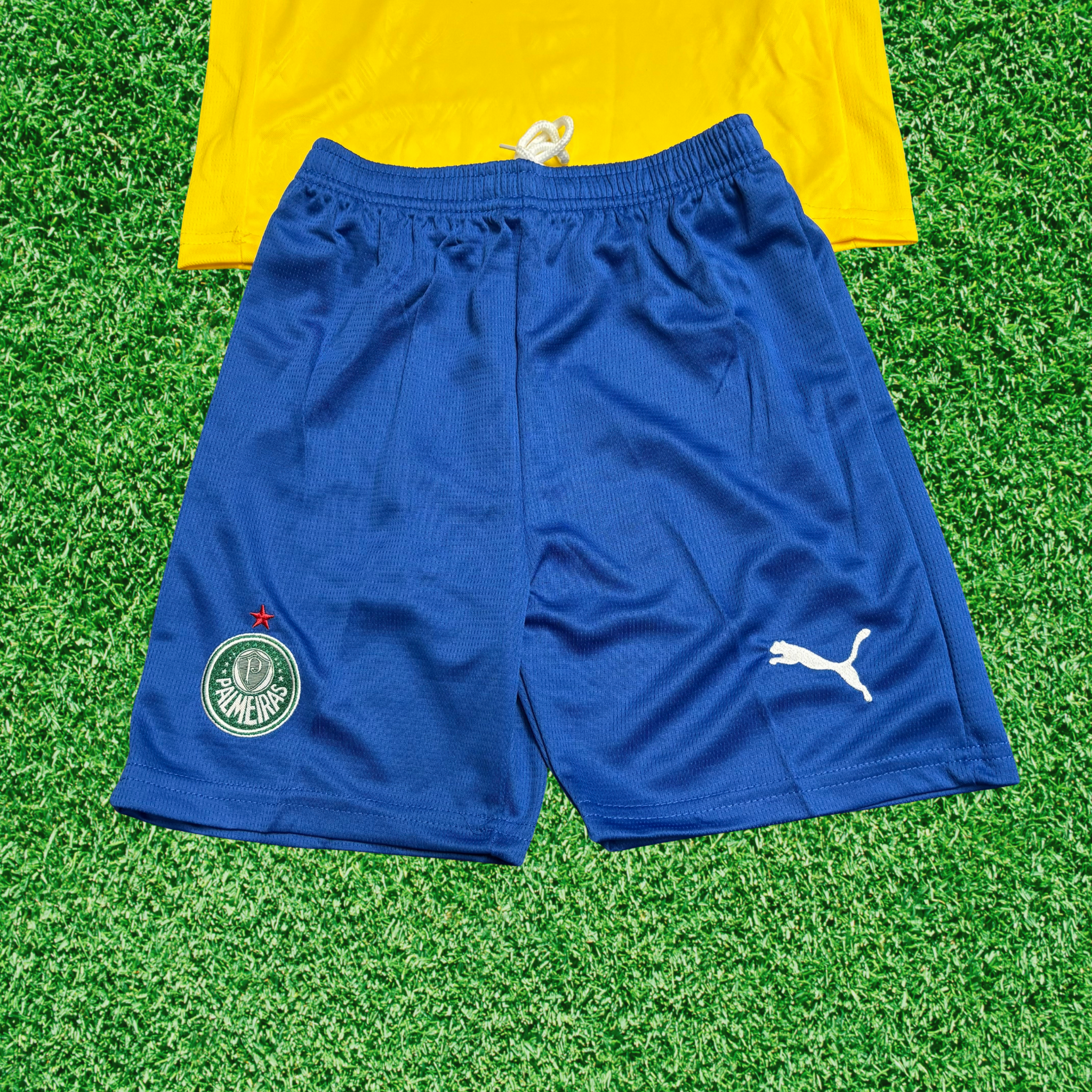 Kit Palmeiras III 25/26 Infantil