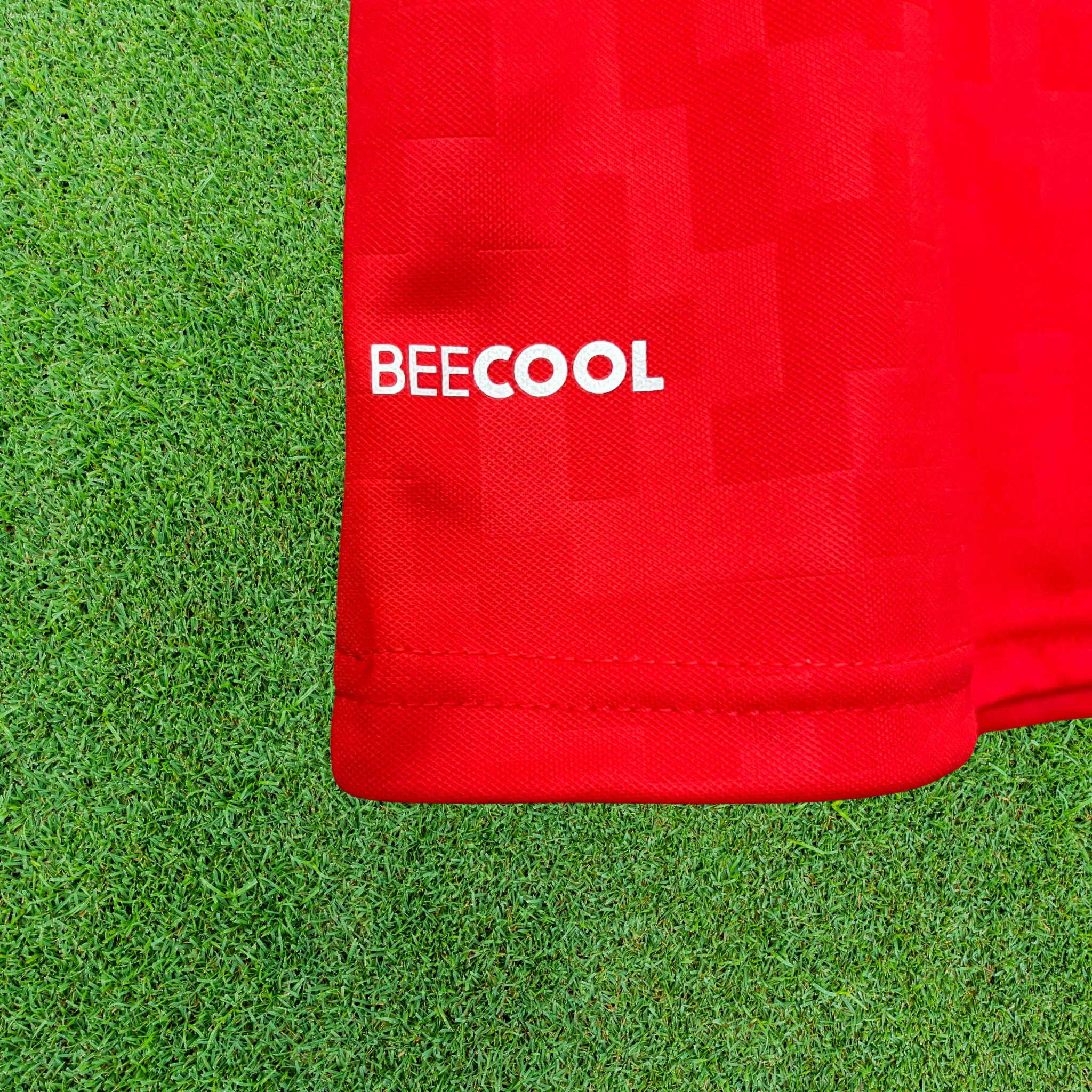 Camisa Dinamarca I 2024 Torcedor