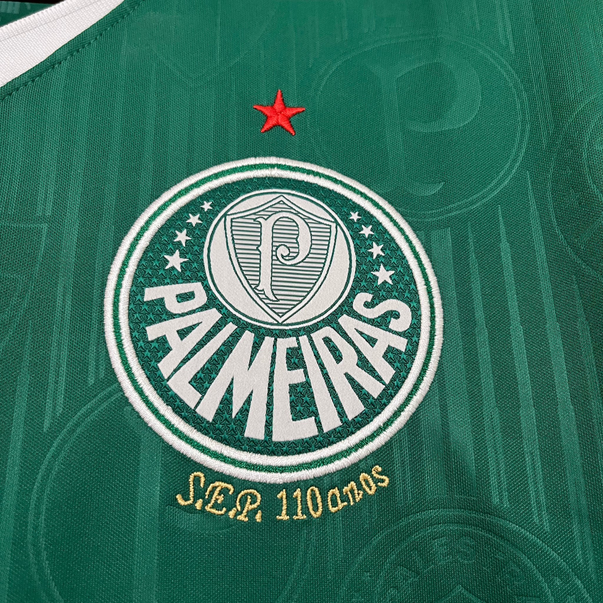 Camisa Palmeiras I 24/25 Torcedor