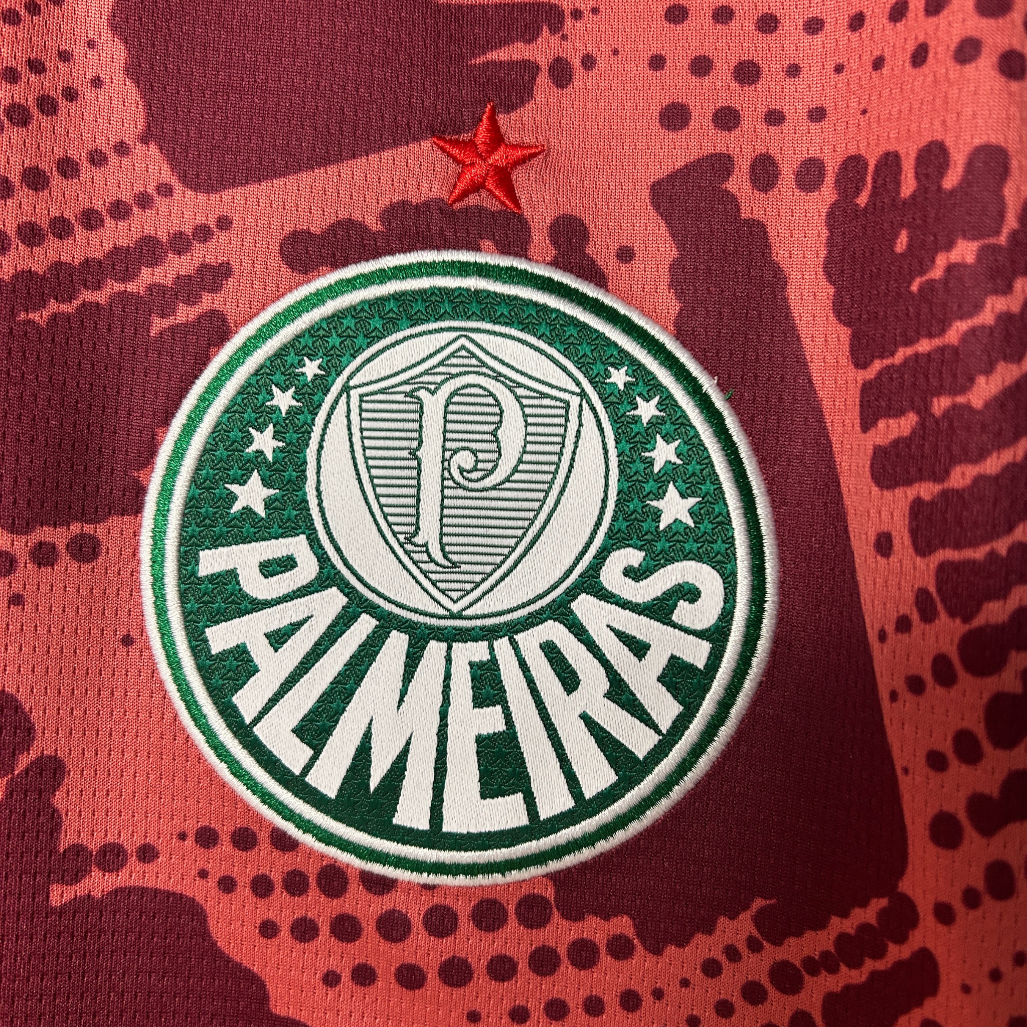 Camisa Palmeiras Goleiro III 25/26 Torcedor