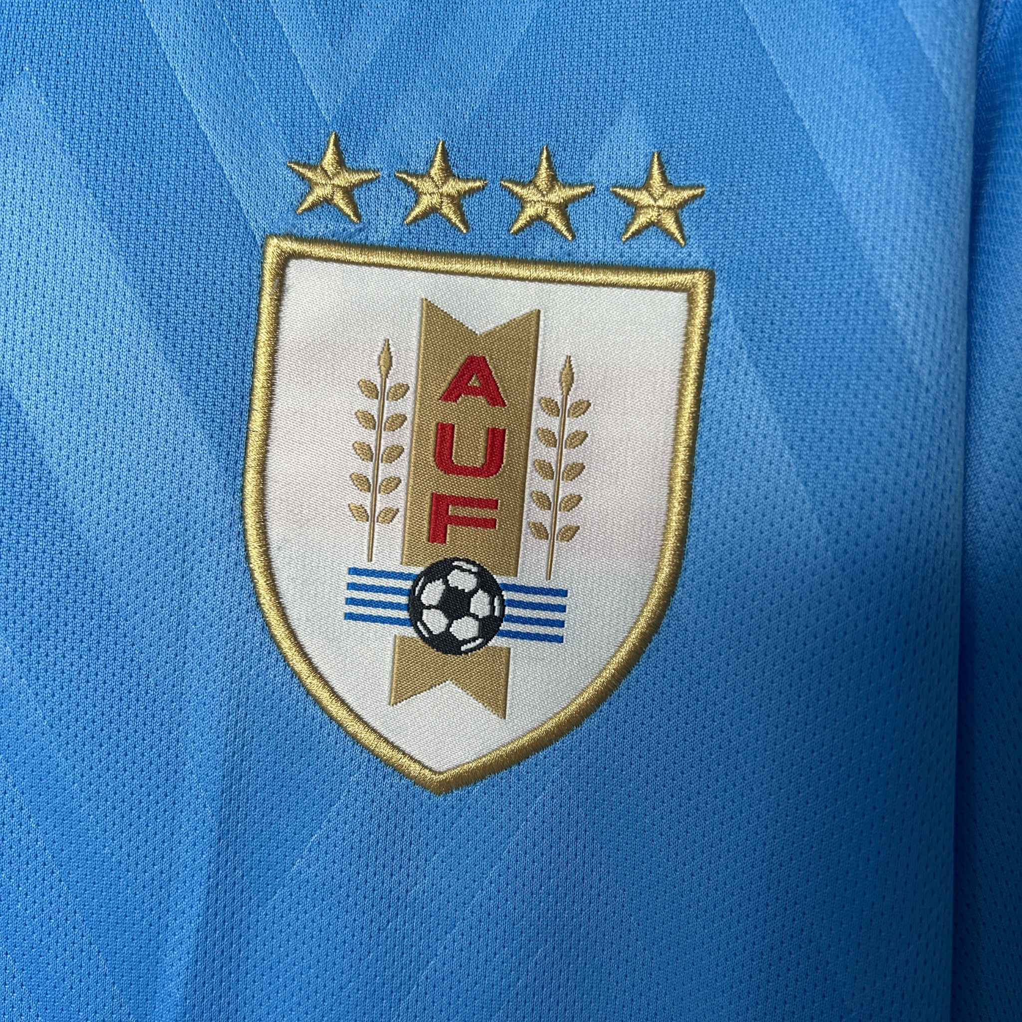 Camisa Uruguay I 2025 Torcedor