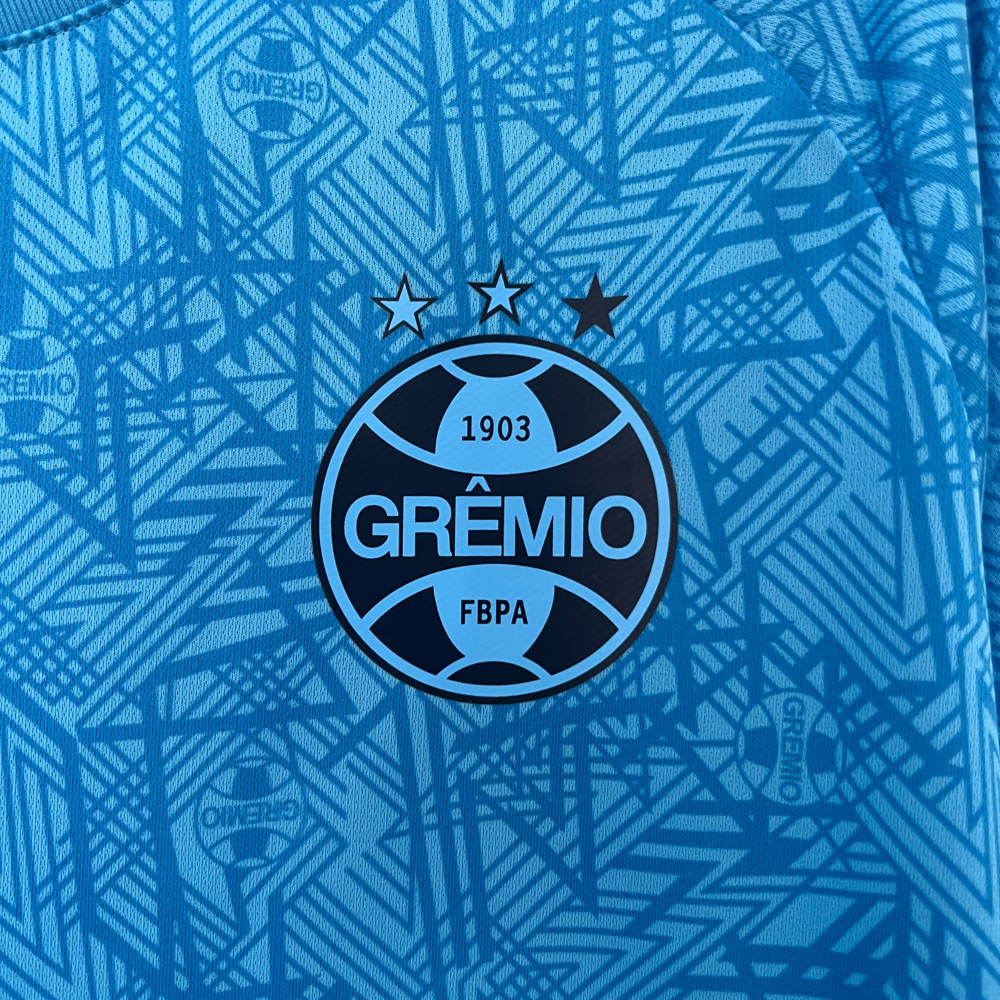 Camisa Grêmio Treino 24/25 Torcedor