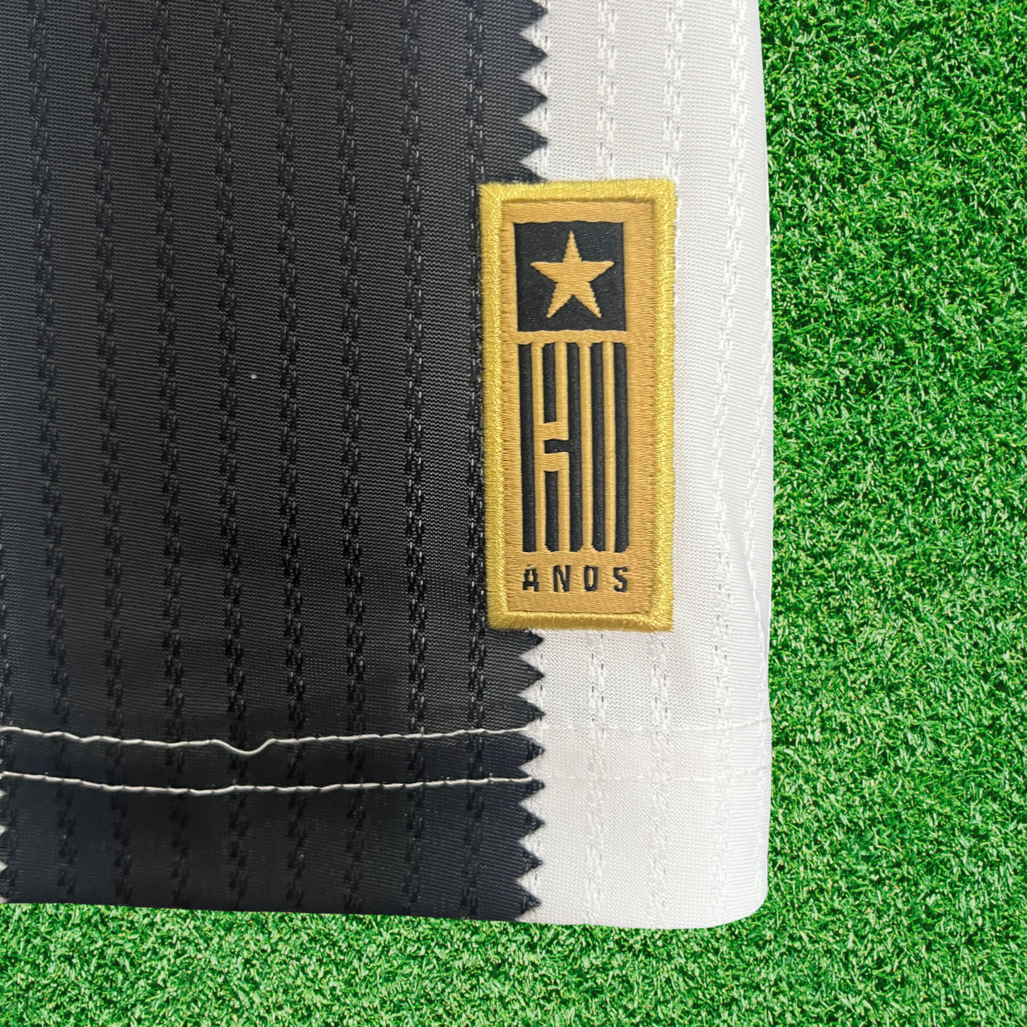 Camisa Botafogo I 24/25 Torcedor