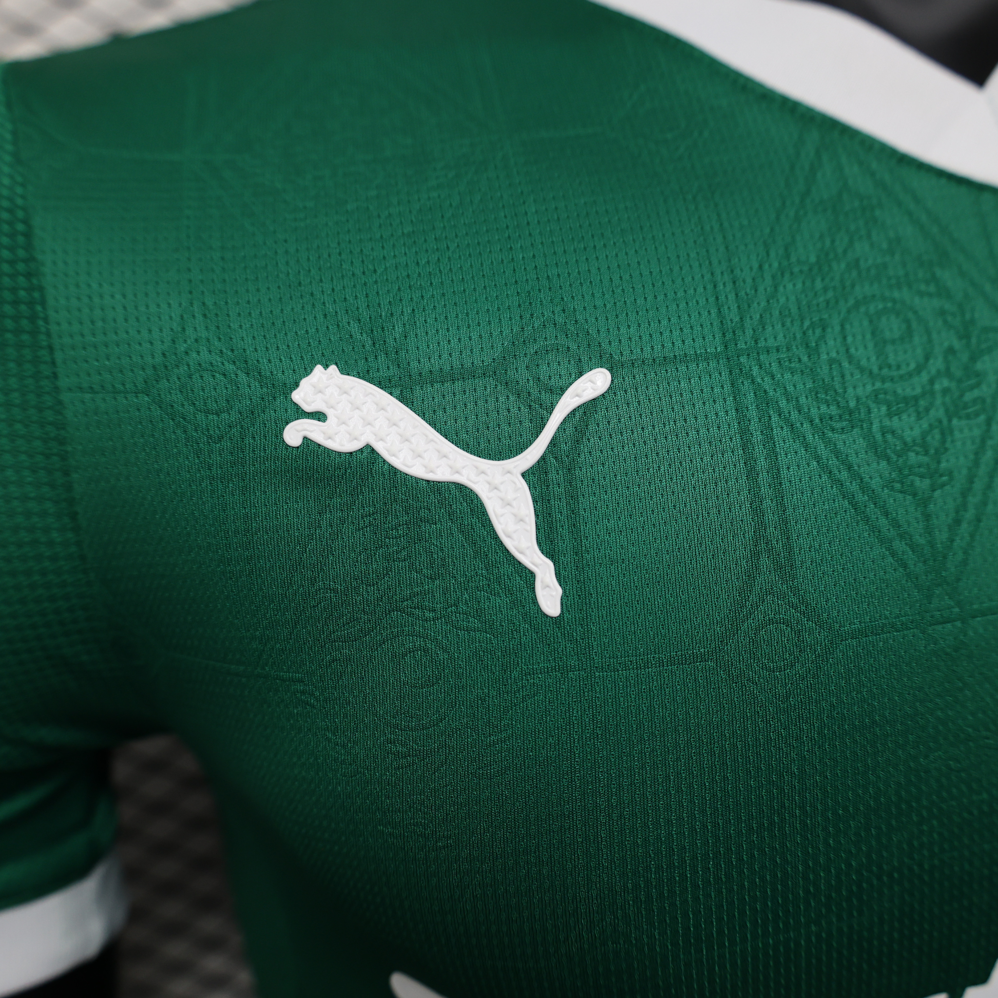 Camisa Palmeiras I 25/26 Jogador