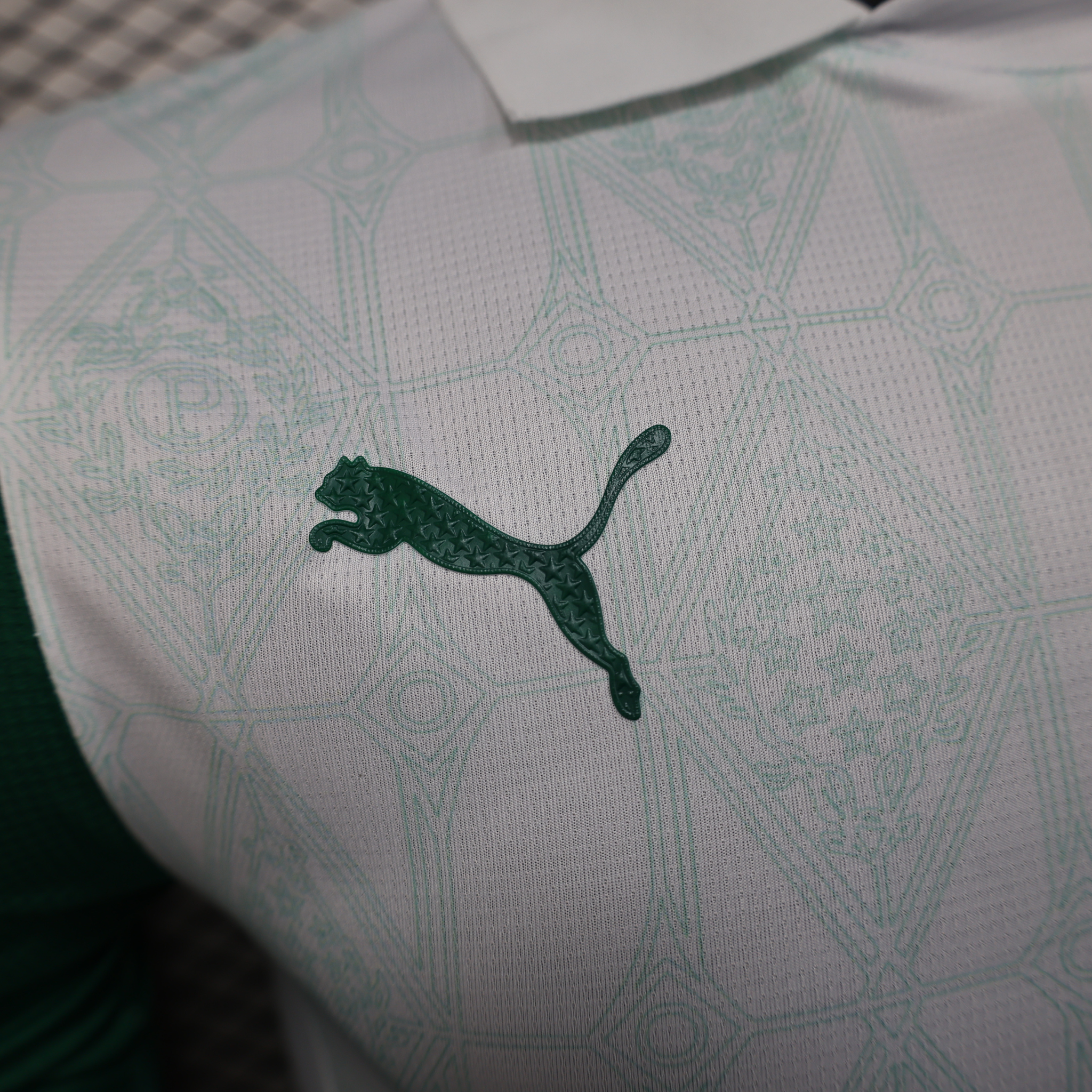 Camisa Palmeiras II 25/26 Jogador