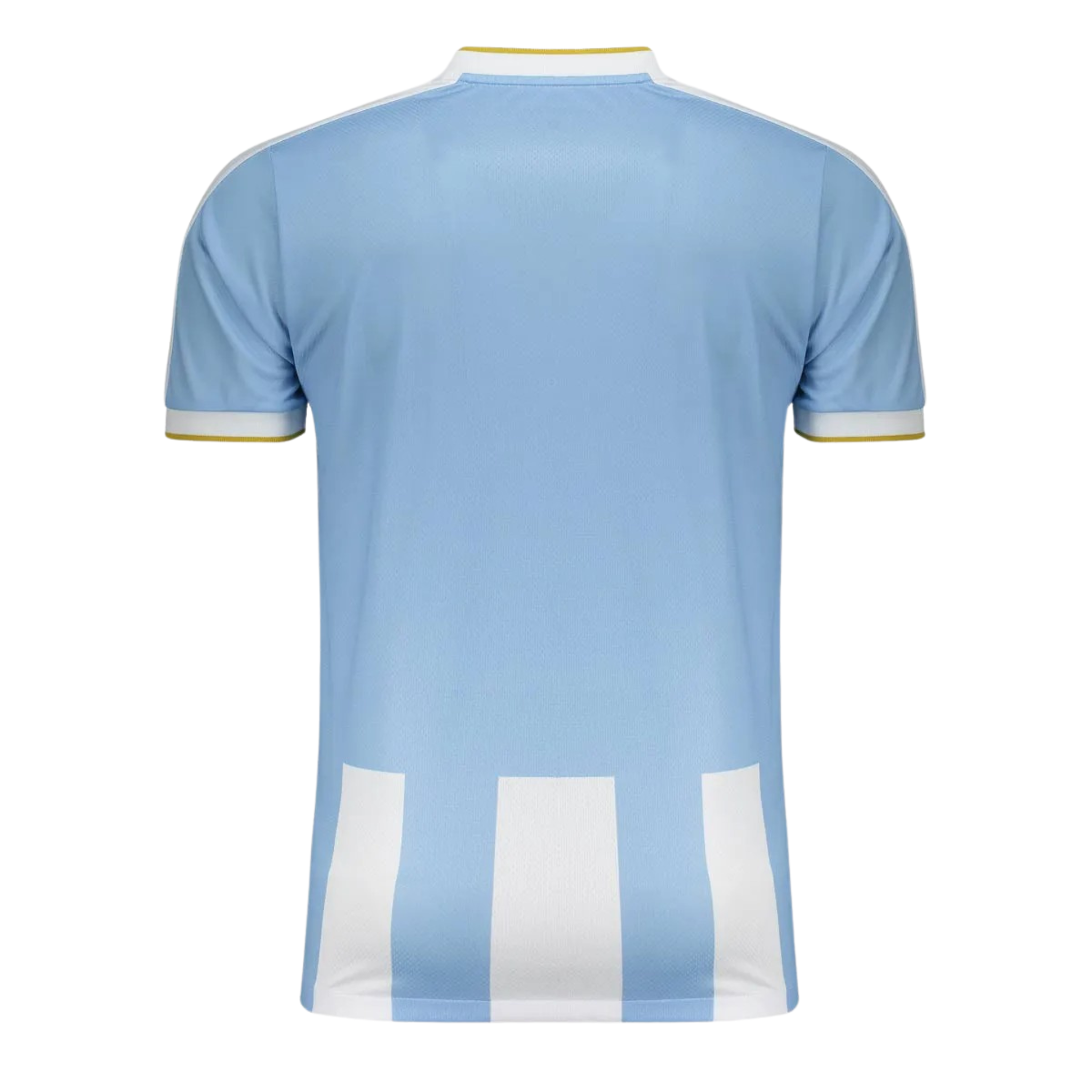 Camisa Paysandu I 25/26 Torcedor