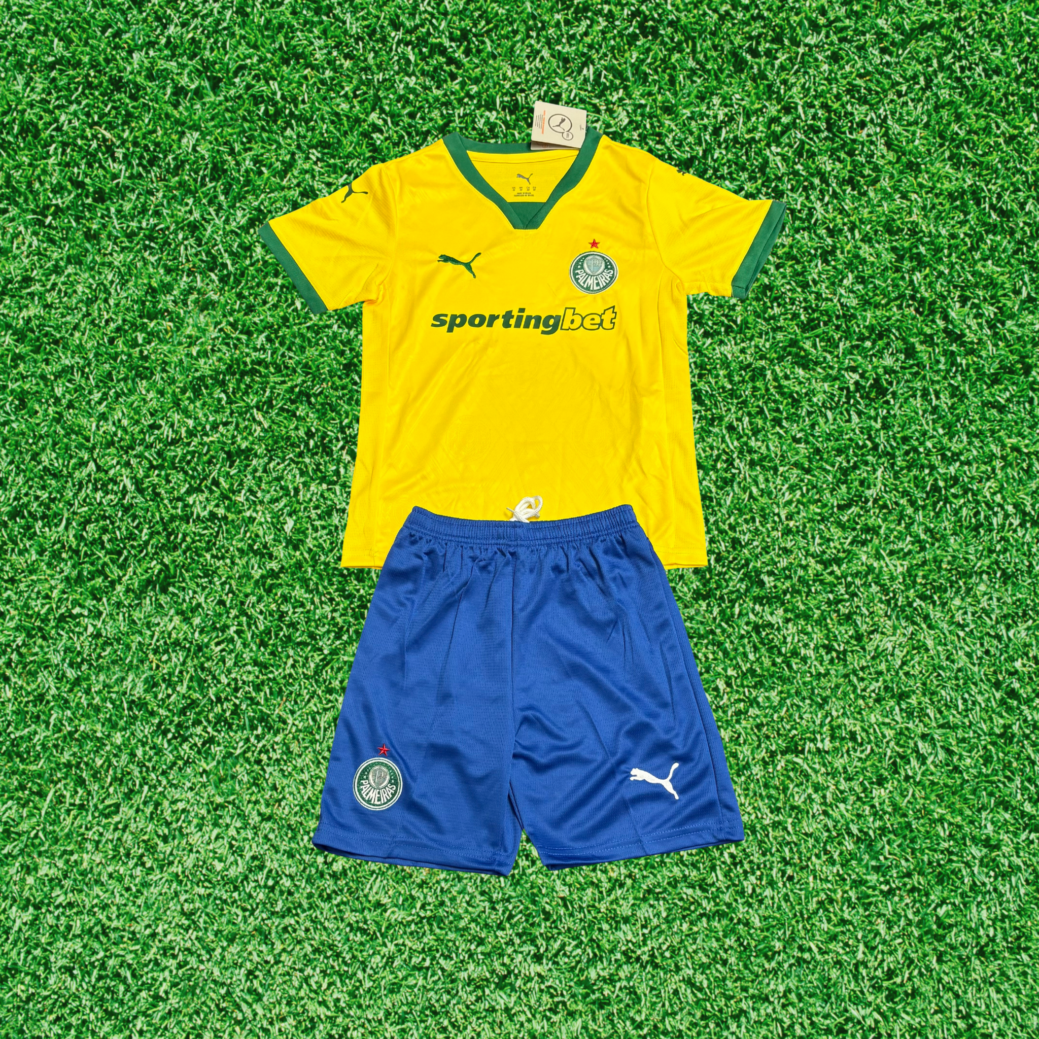 Kit Palmeiras III 25/26 Infantil