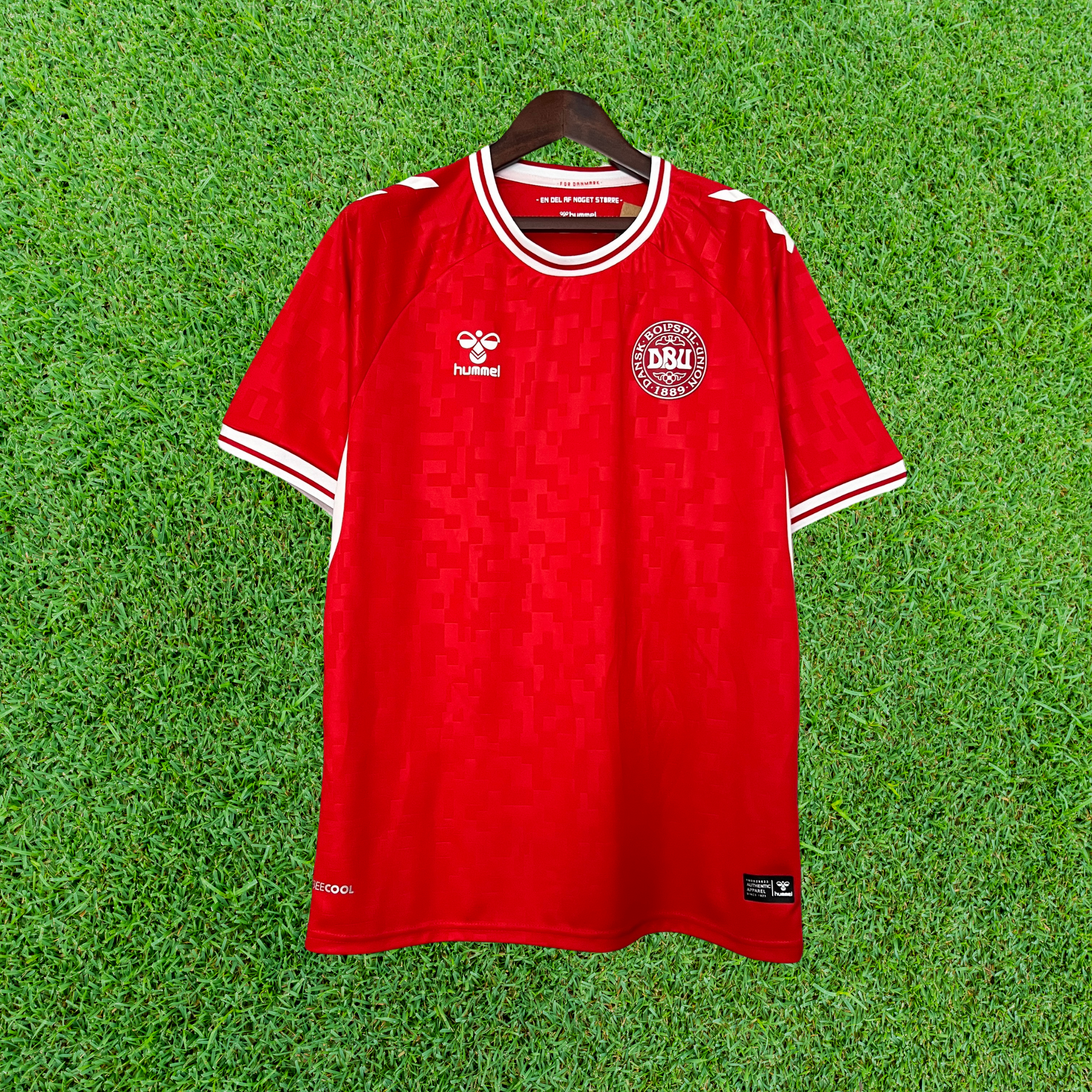 Camisa Dinamarca I 2024 Torcedor