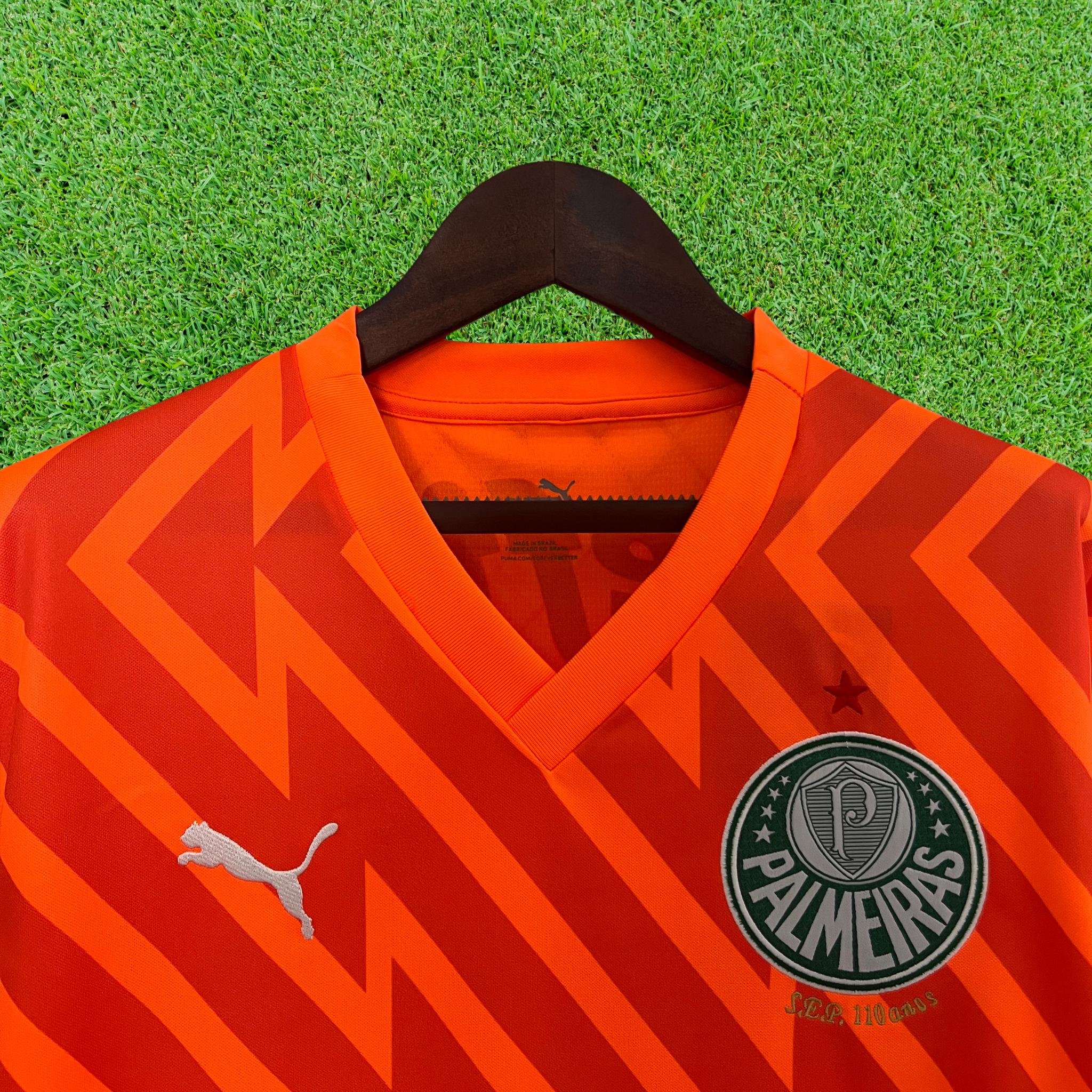 Camisa Palmeiras Goleiro 24/25 Torcedor