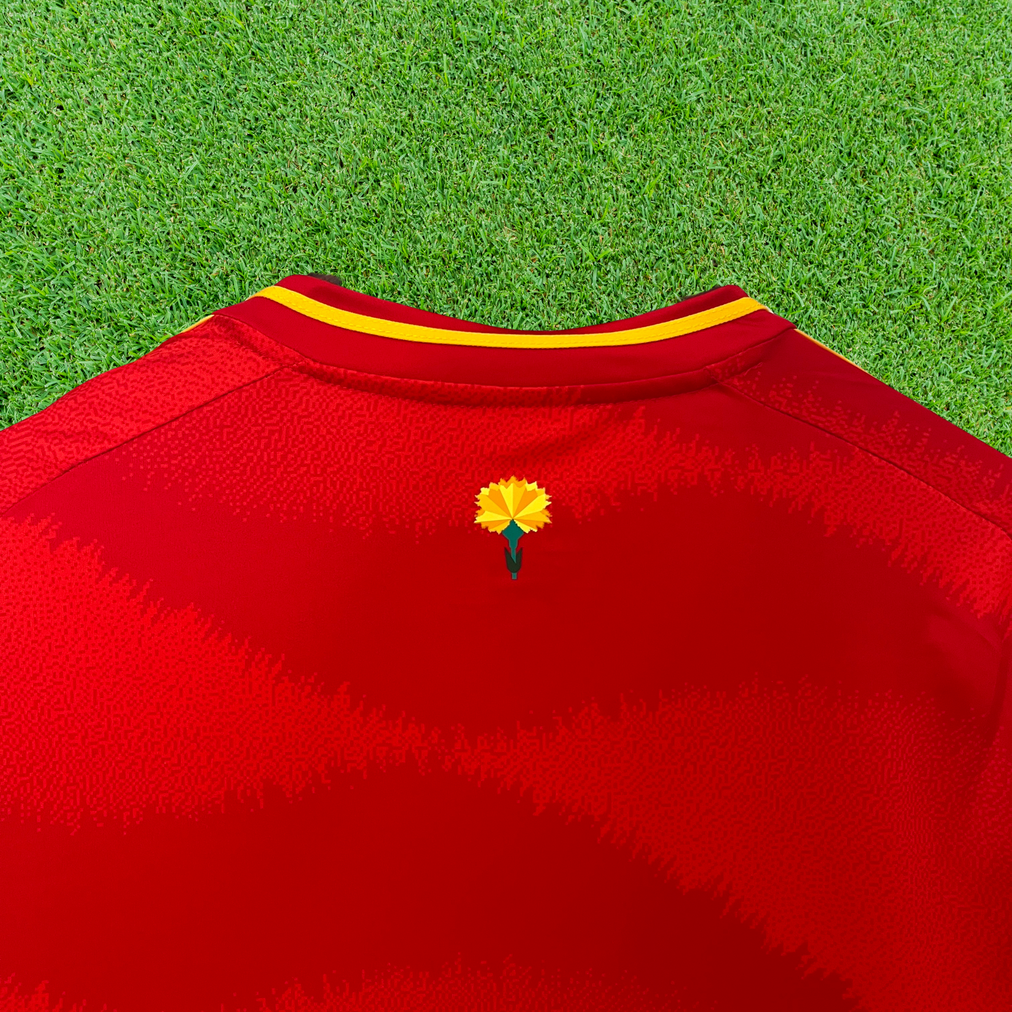 Camisa Espanha I 24/25 Torcedor