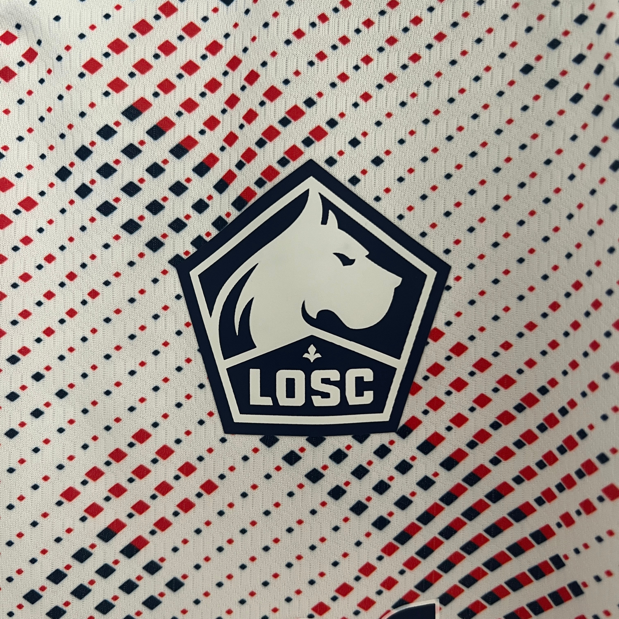 Camisa Lille LOSC II 24/25 Torcedor