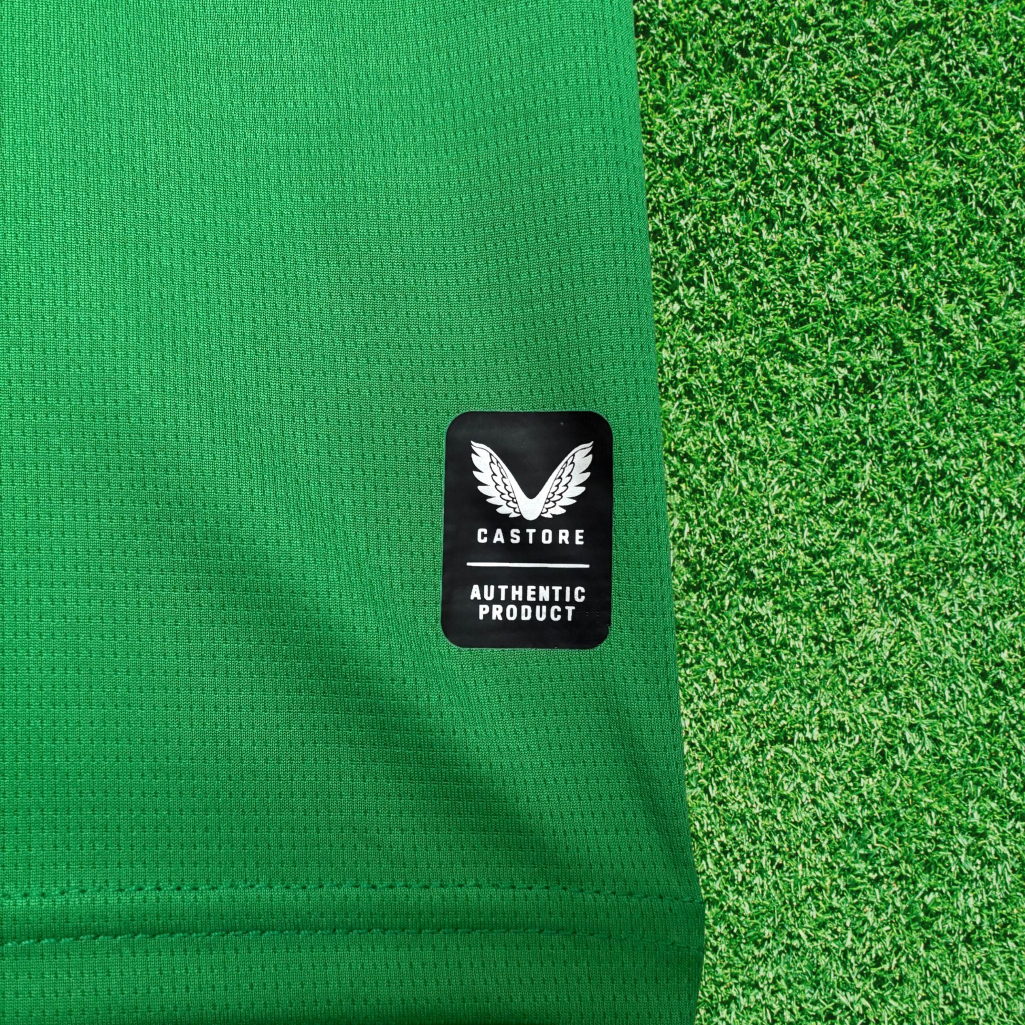 Camisa Irlanda I 2026 Torcedor