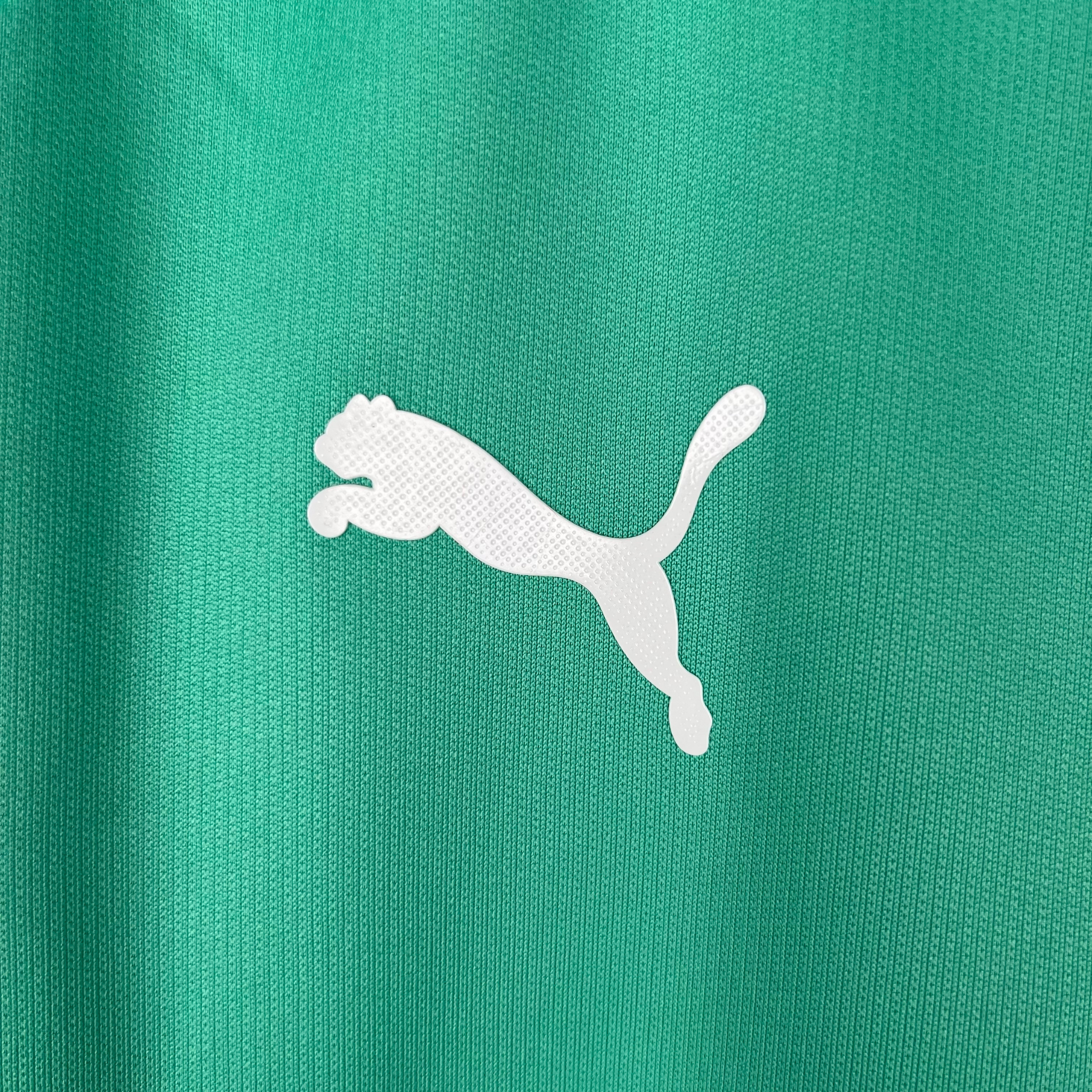 Camisa Palmeiras III 2019 Retrô