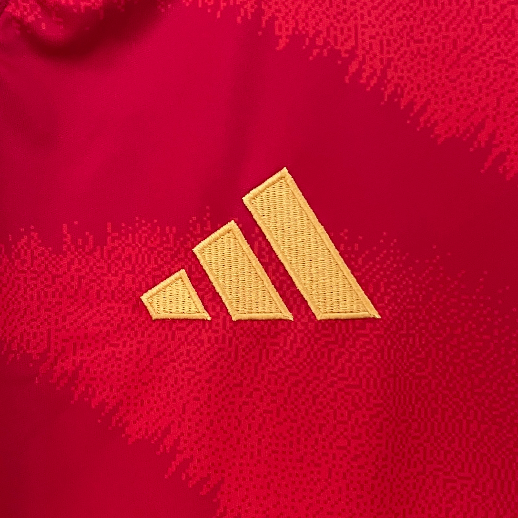 Camisa Espanha I 24/25 Torcedor