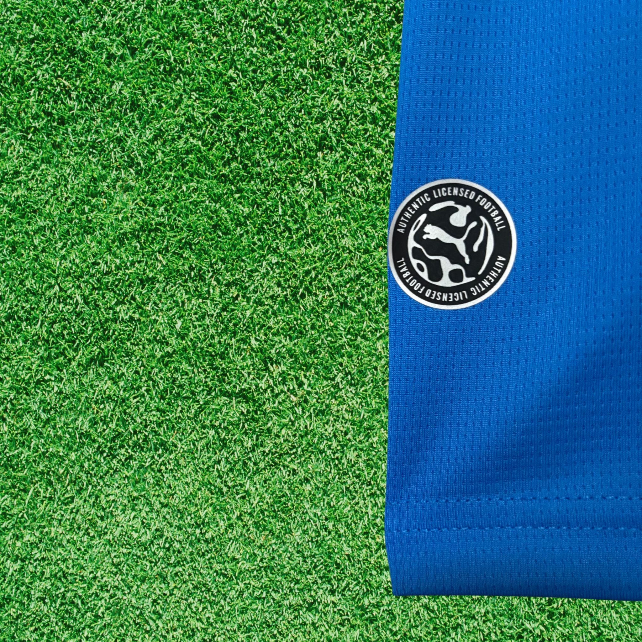 Camisa Islândia I 2026 Torcedor