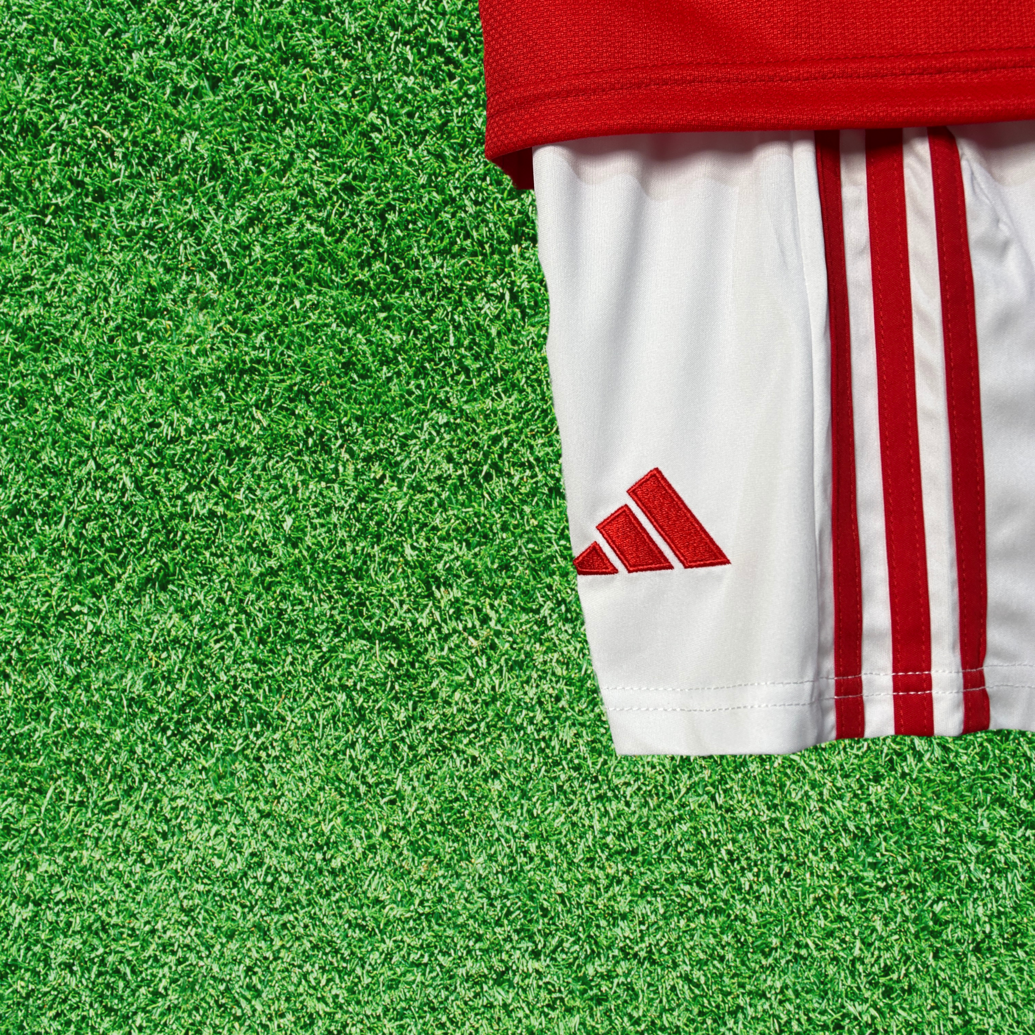 Kit SL Benfica I 25/26 Infantil